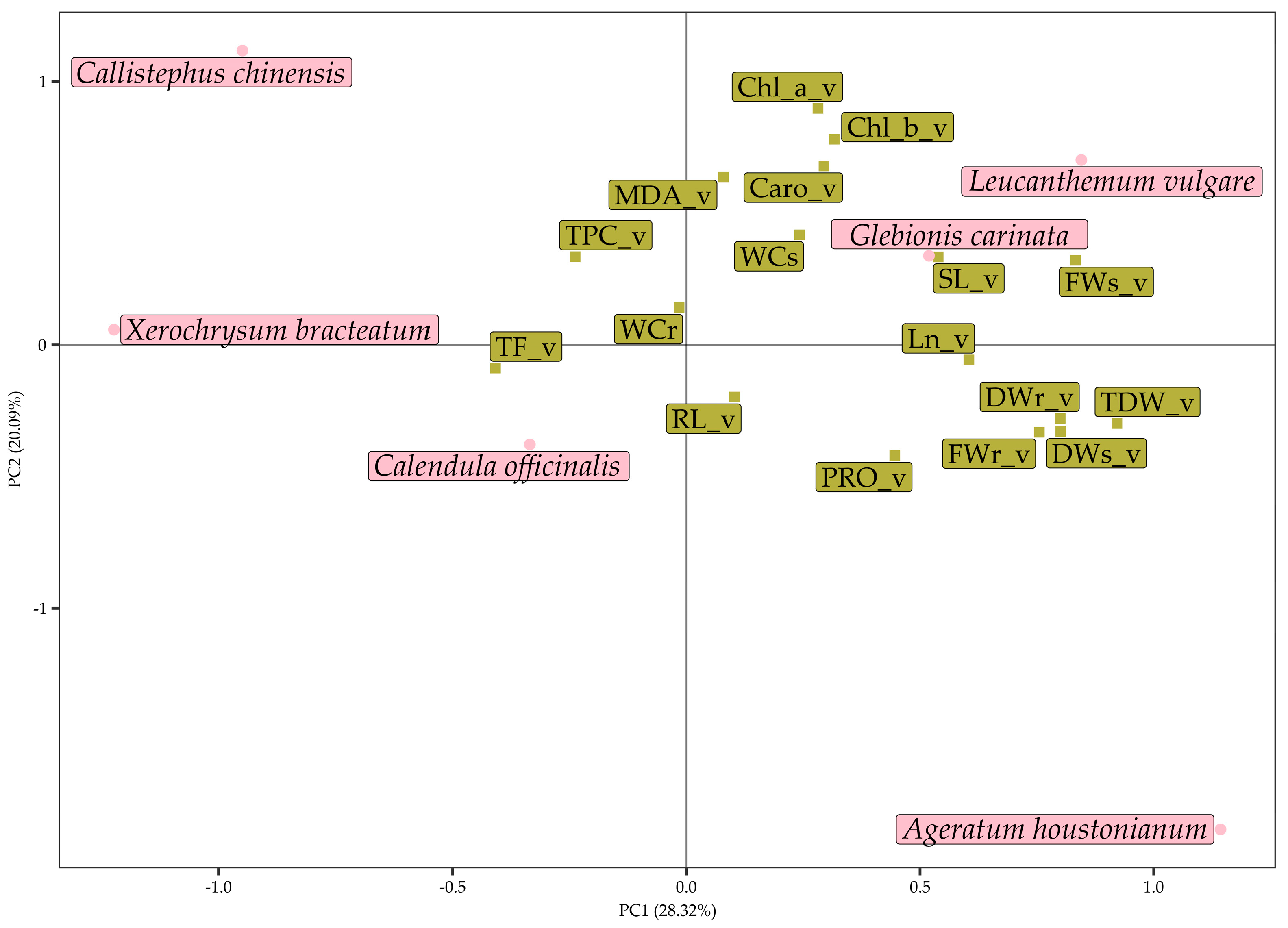 Agronomy 13 00687 g008 Agronomy 13 00687 g008