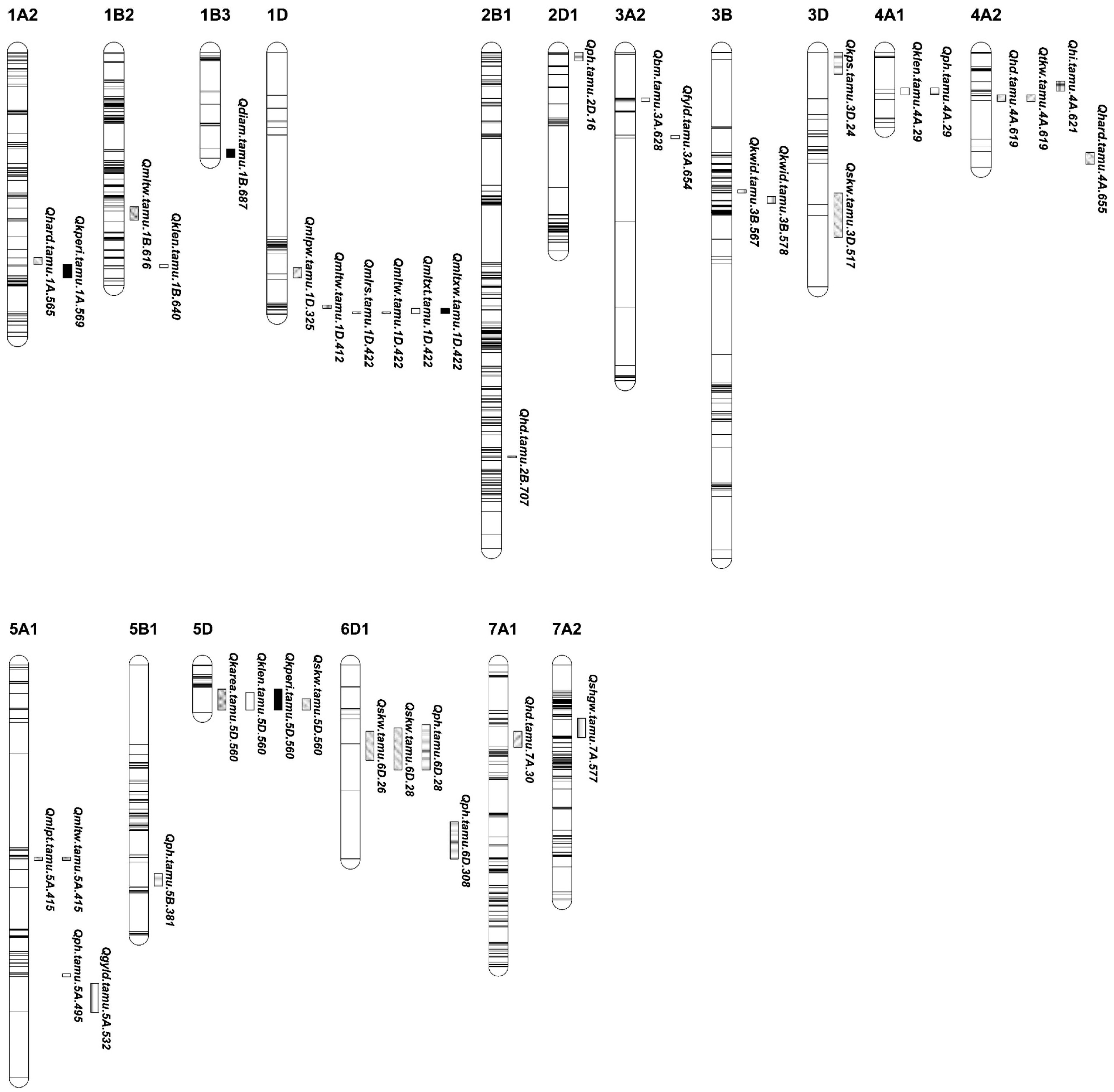 Agronomy 13 00689 g001