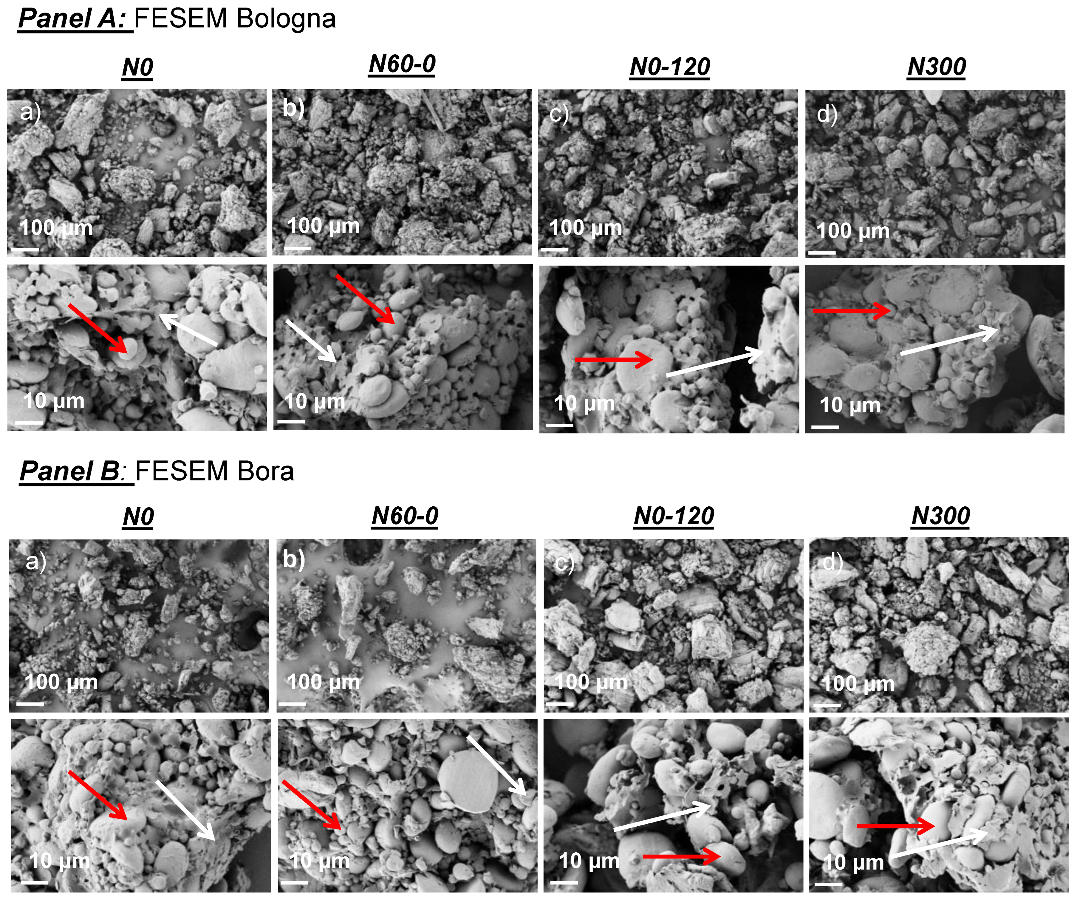 Agronomy 13 00697 g001