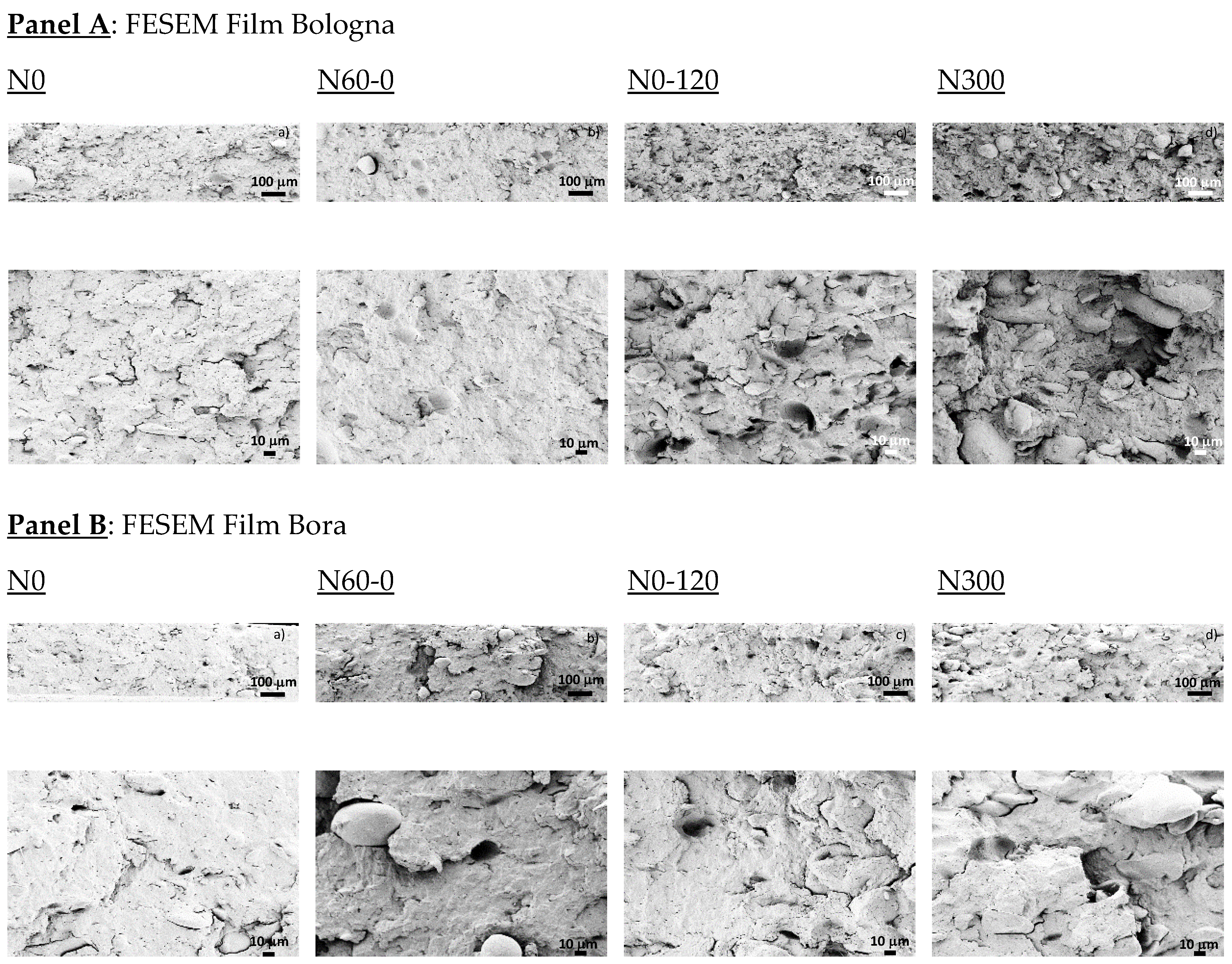 Agronomy 13 00697 g004