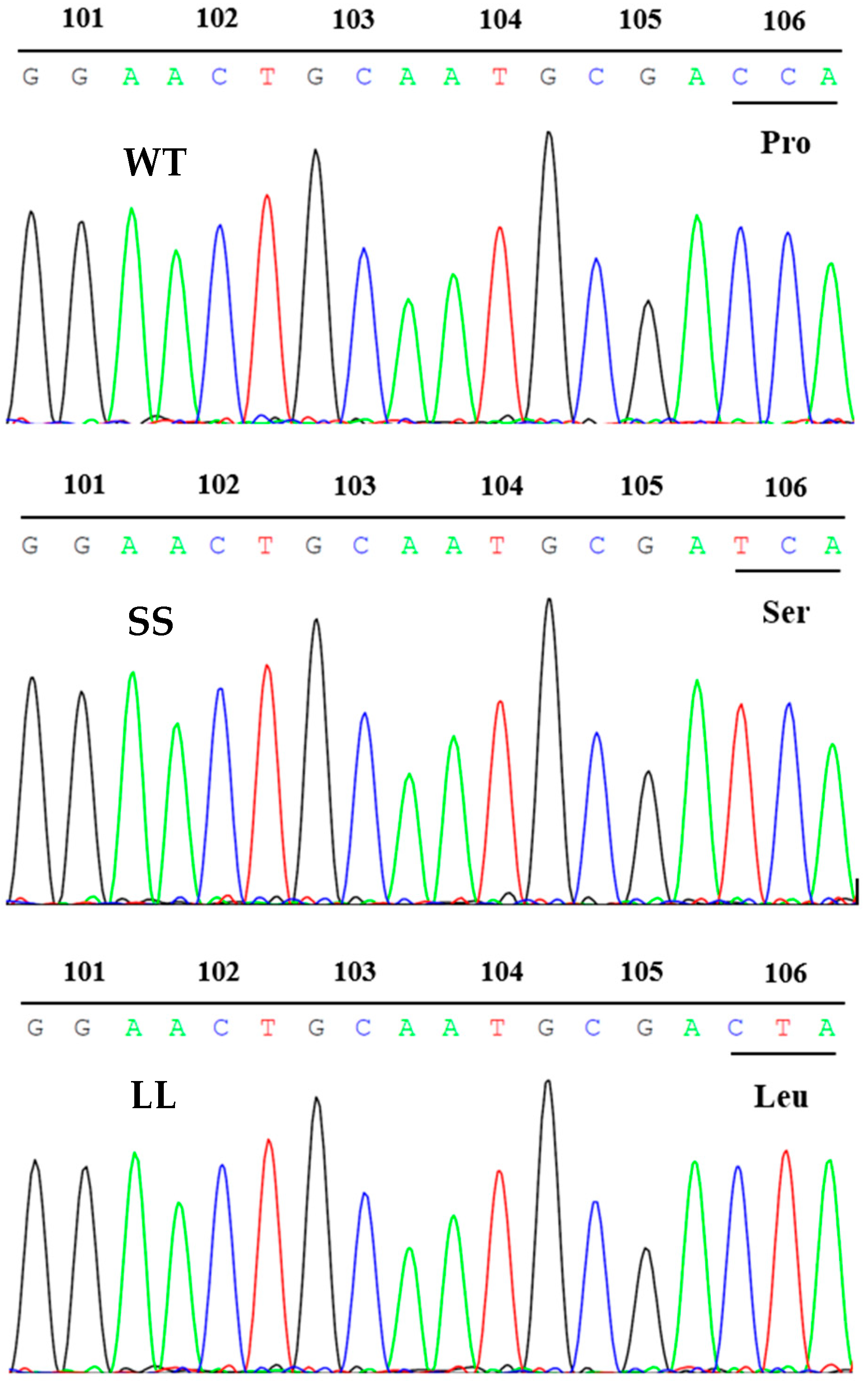 Agronomy 13 00699 g002