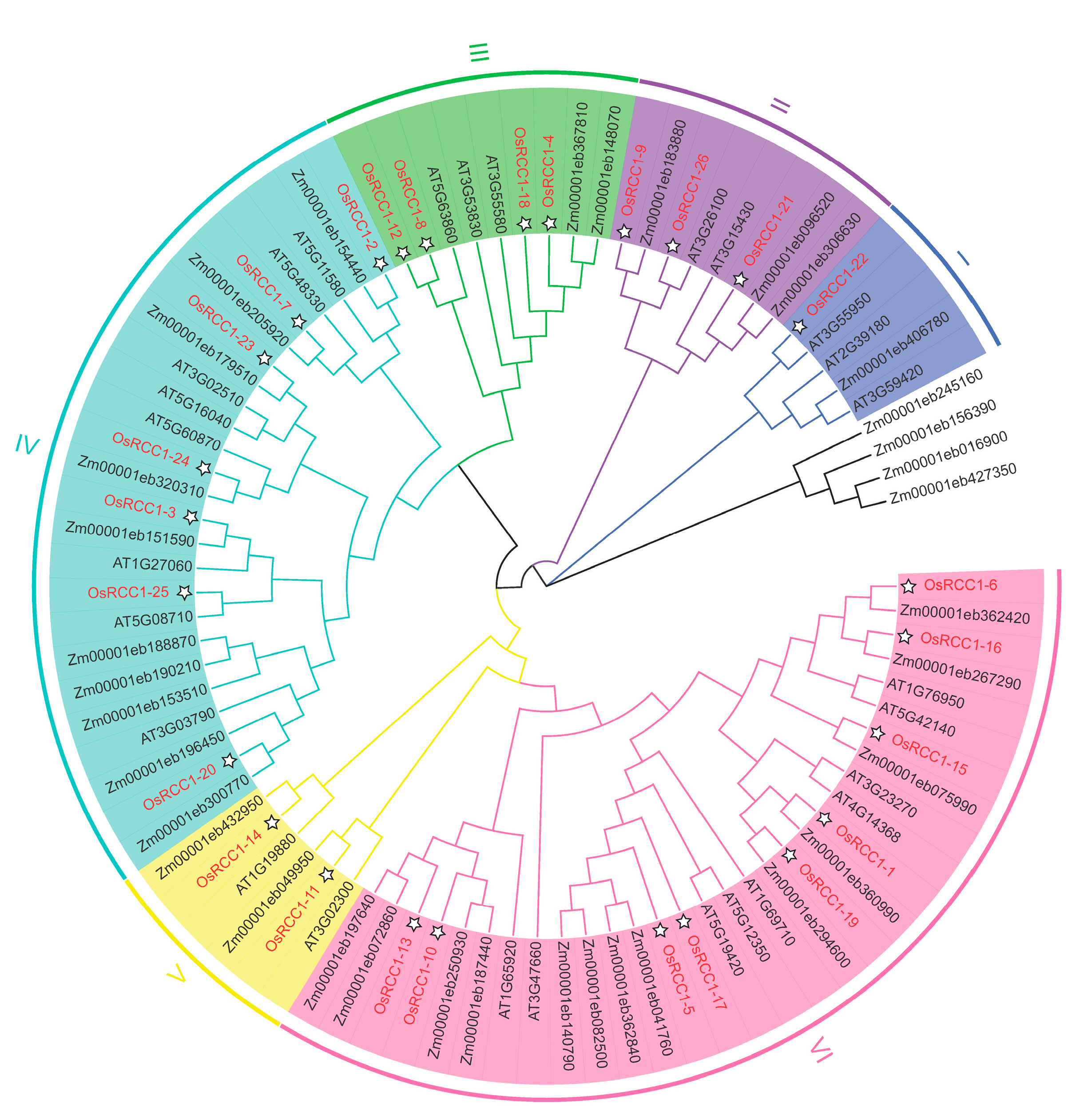 Agronomy 13 00703 g001