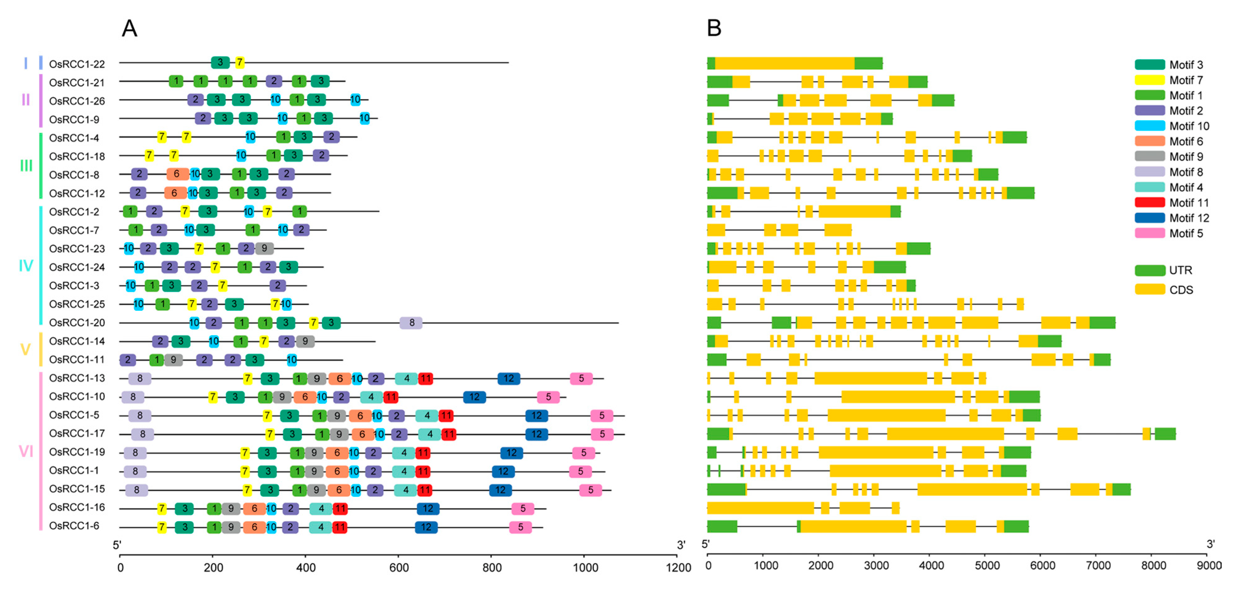 Agronomy 13 00703 g002