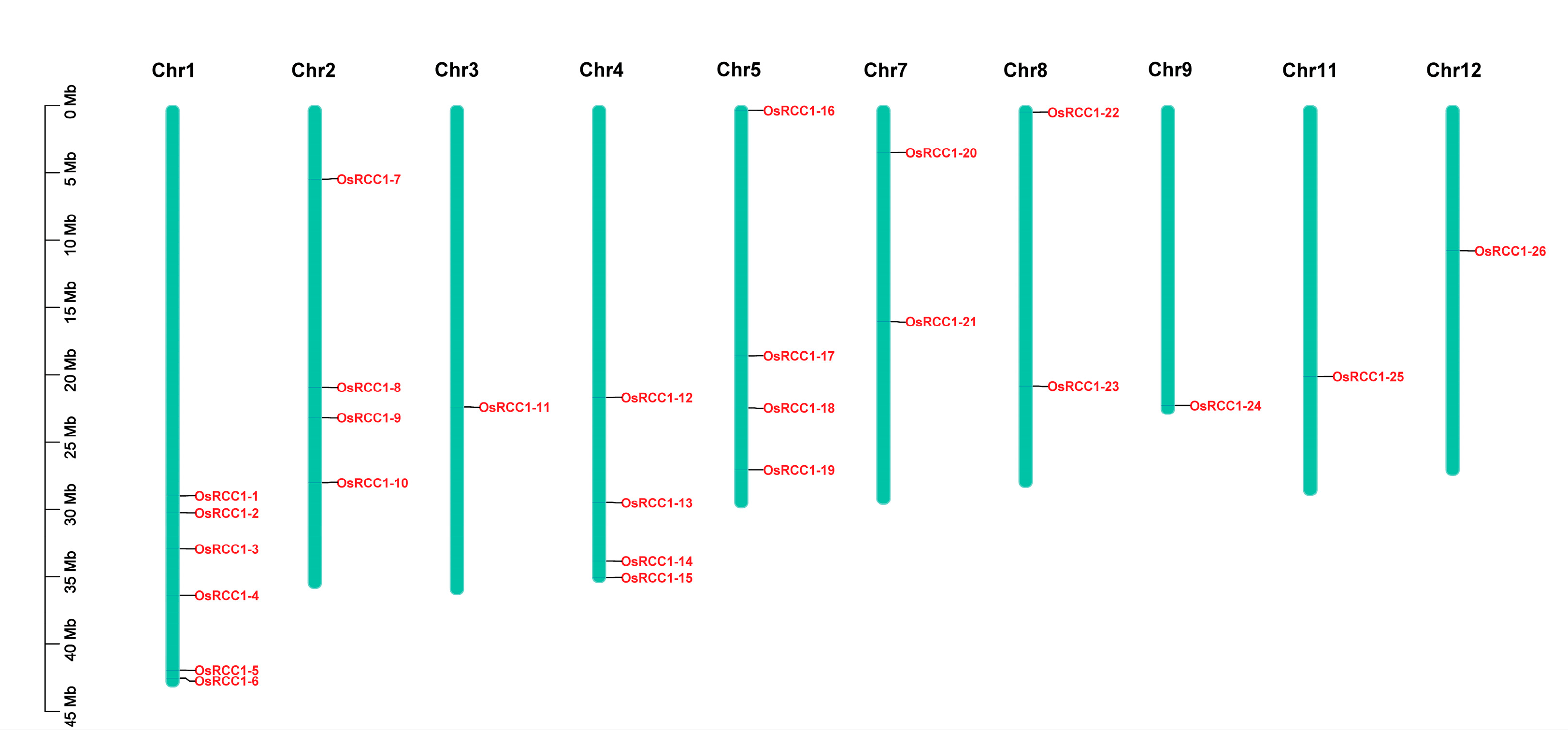 Agronomy 13 00703 g004