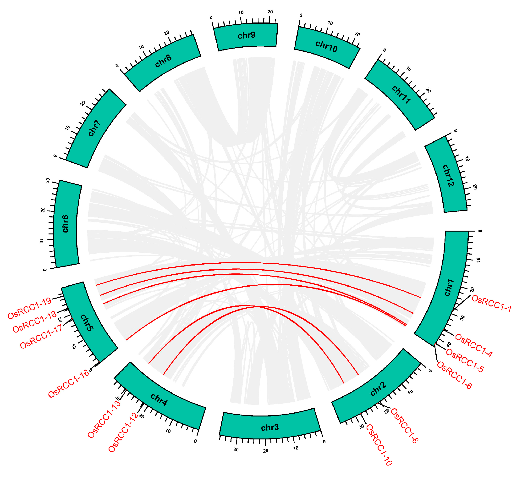 Agronomy 13 00703 g005