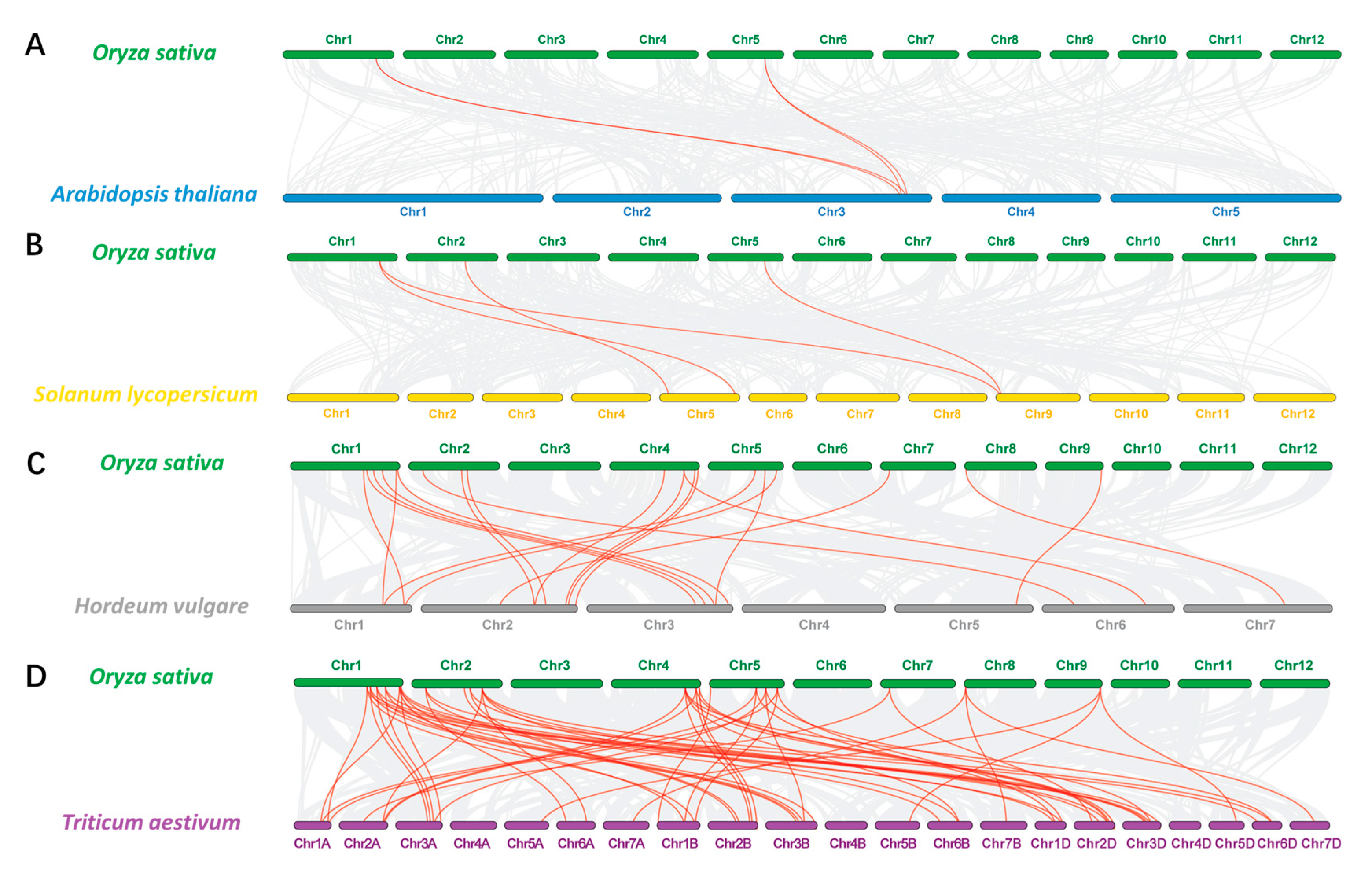 Agronomy 13 00703 g006