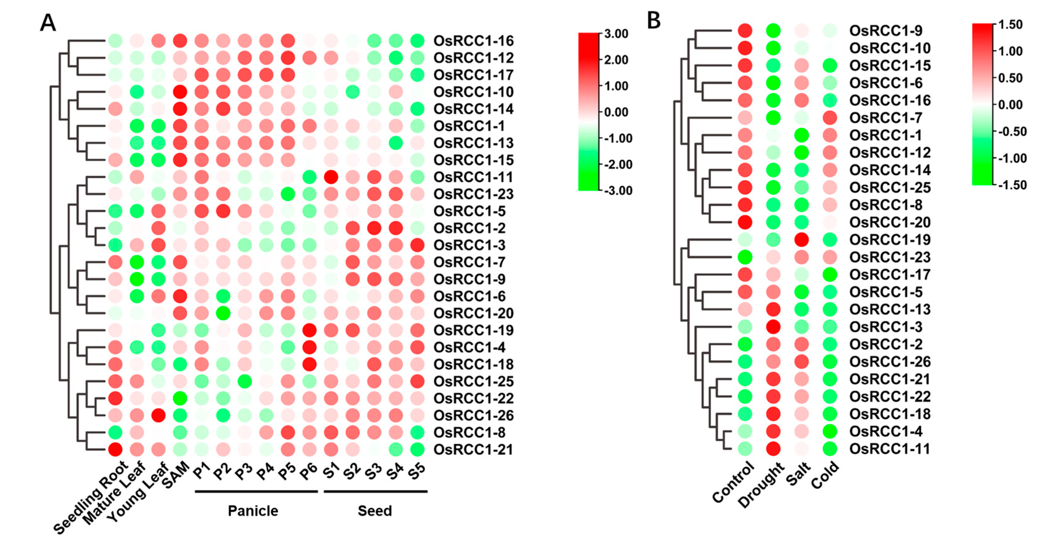Agronomy 13 00703 g007
