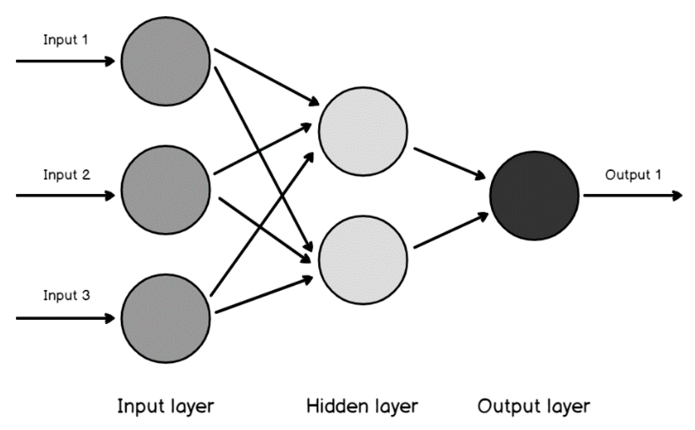 Agronomy 13 00704 g003