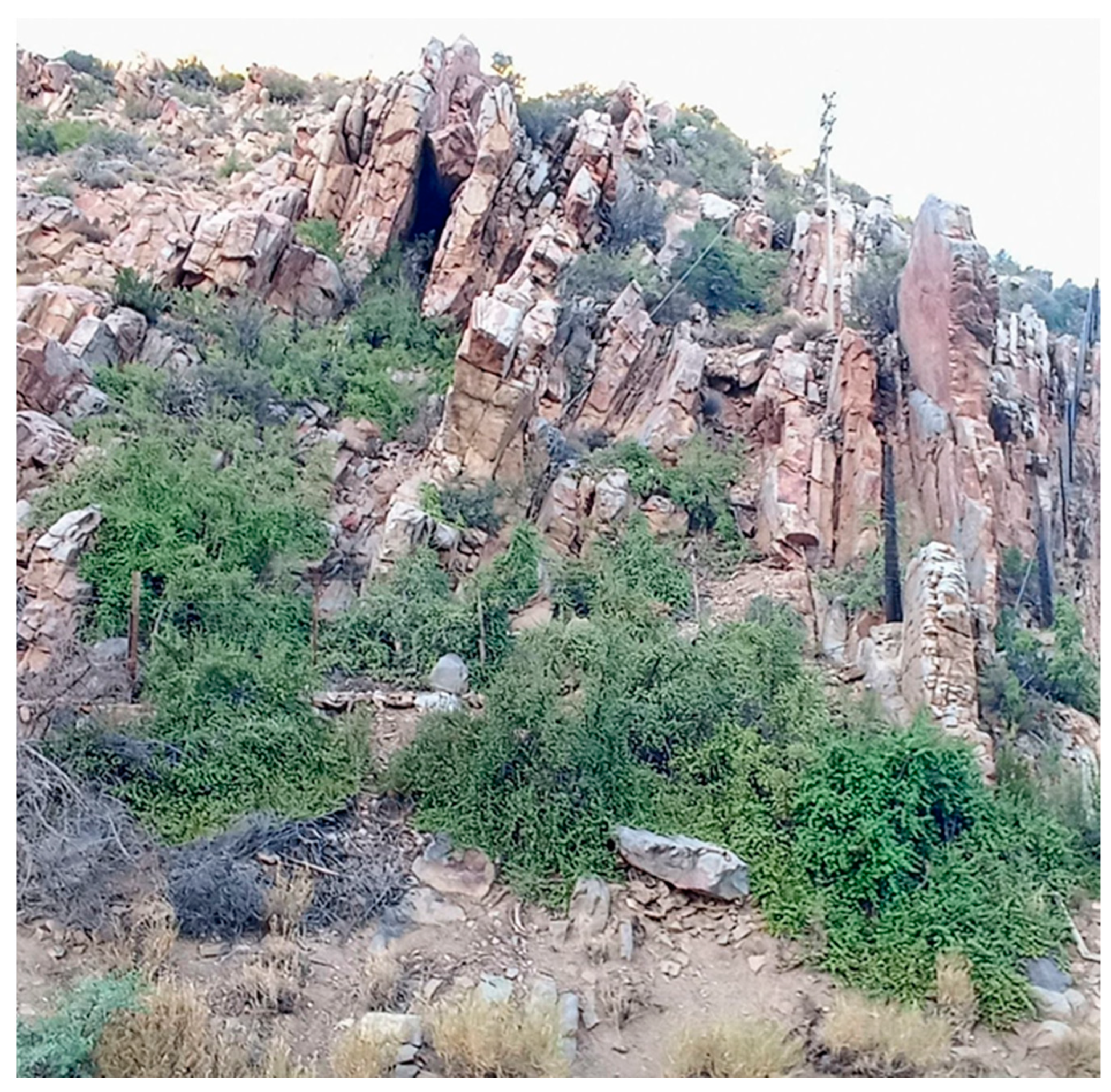 Agronomy 13 00709 g001