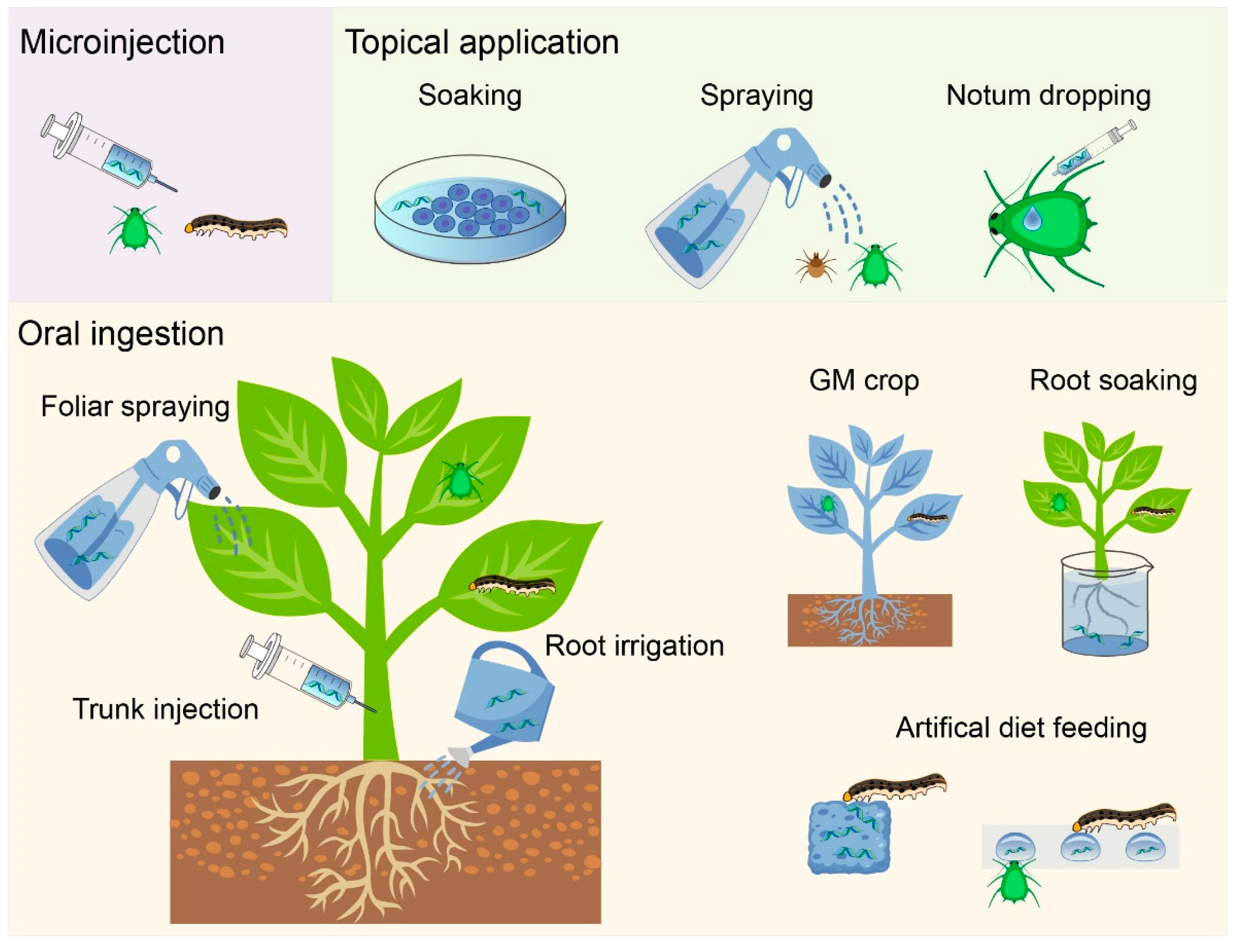 Agronomy 13 00714 g001