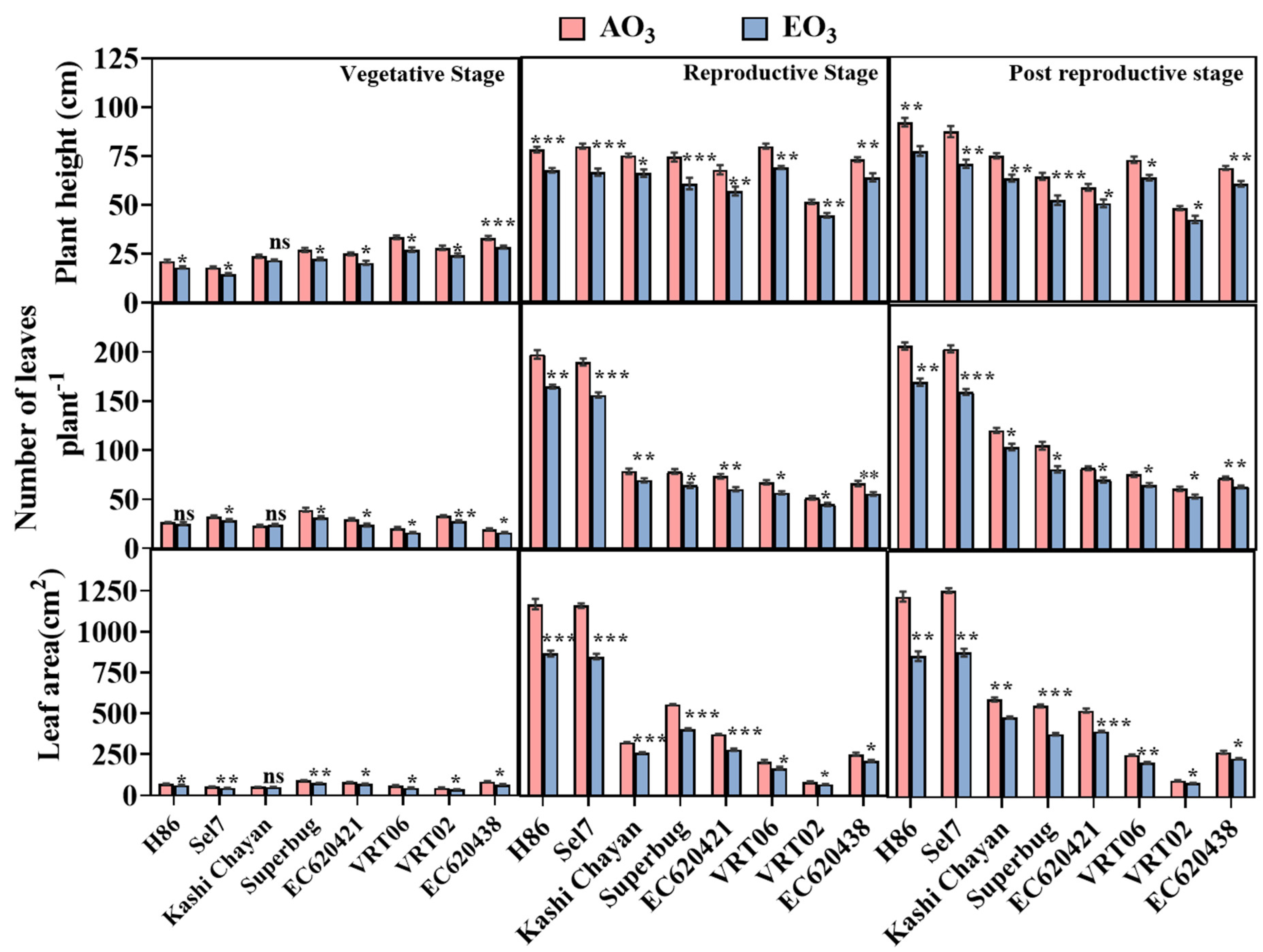 Agronomy 13 00717 g003