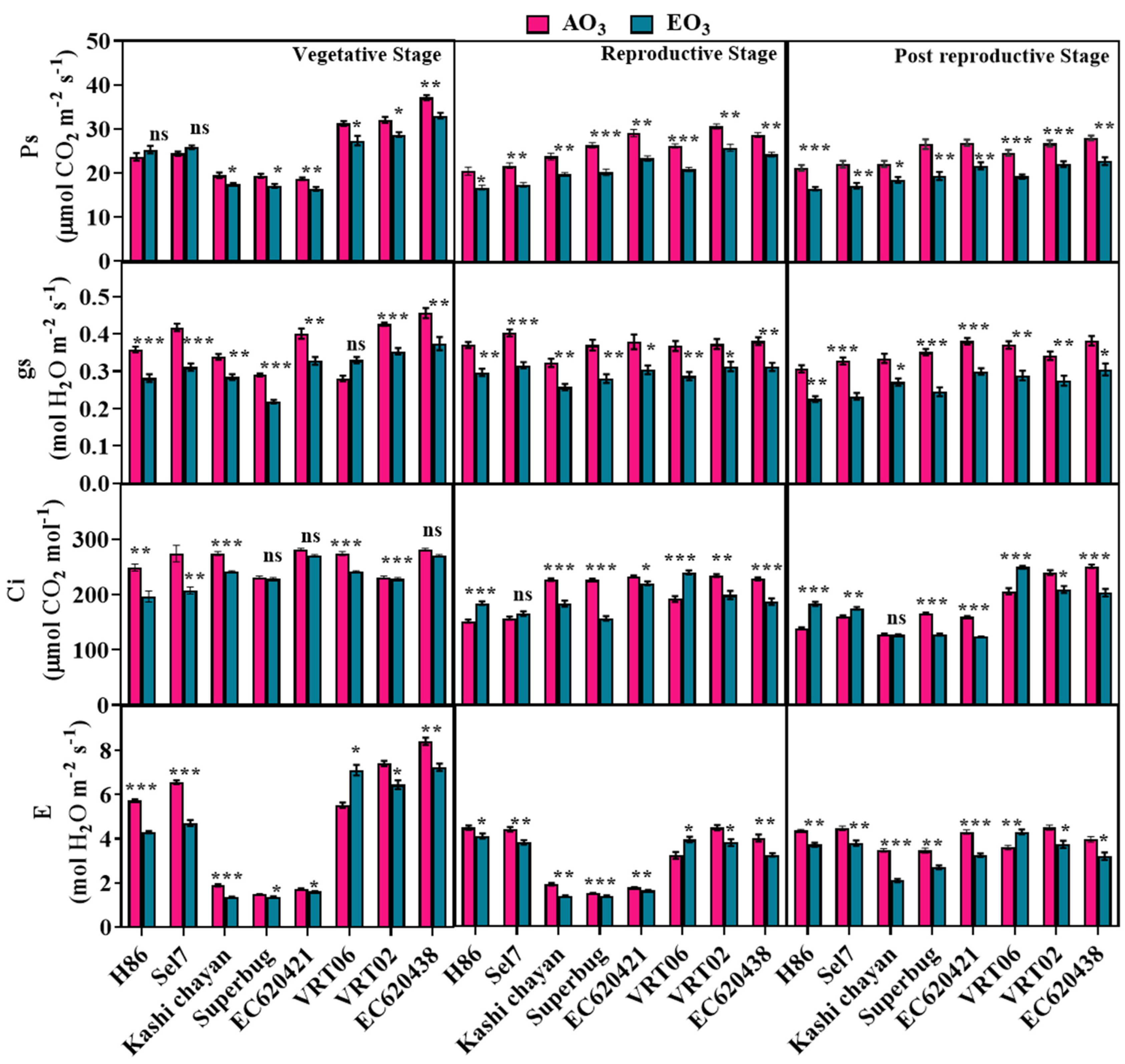 Agronomy 13 00717 g006