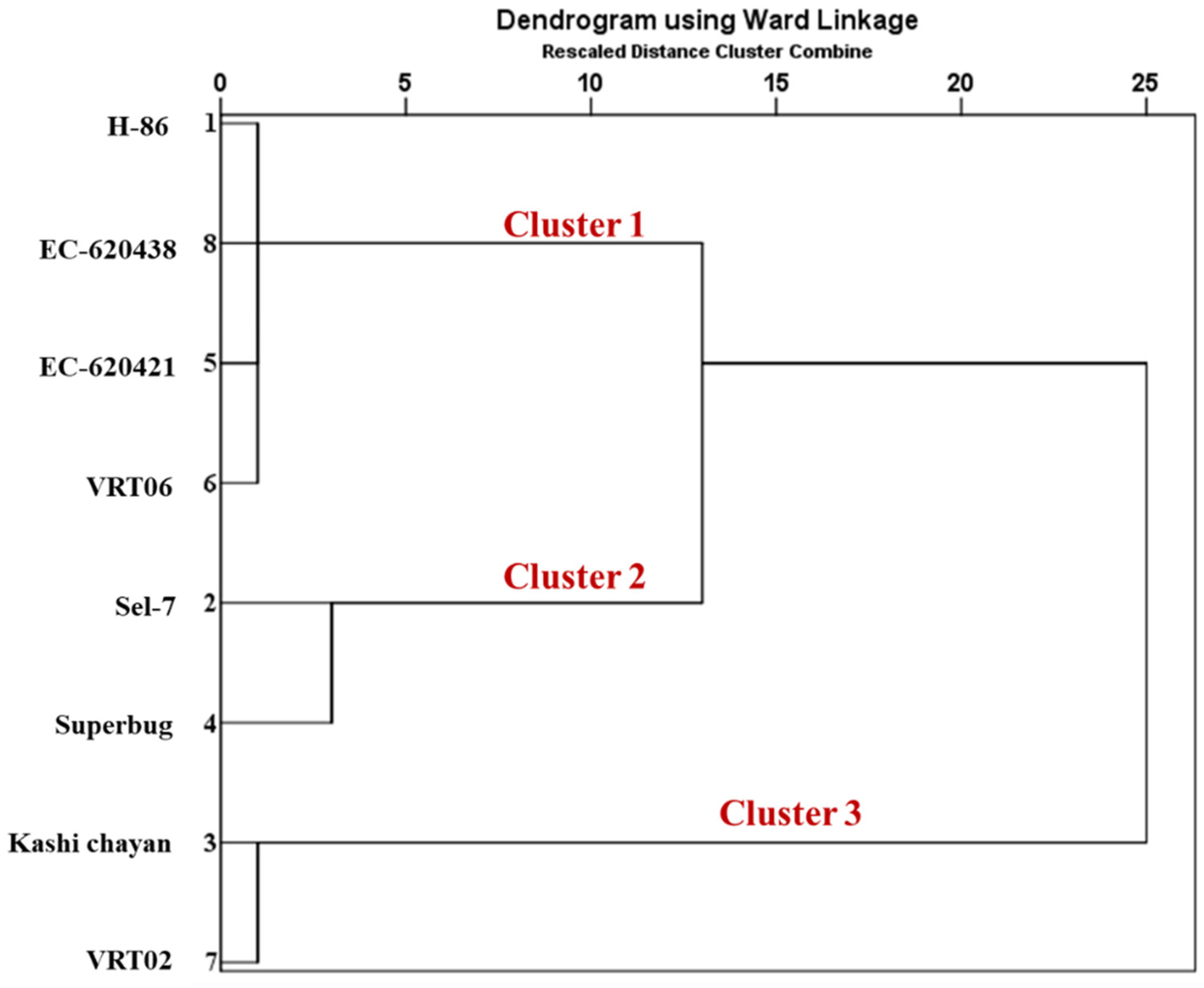 Agronomy 13 00717 g009
