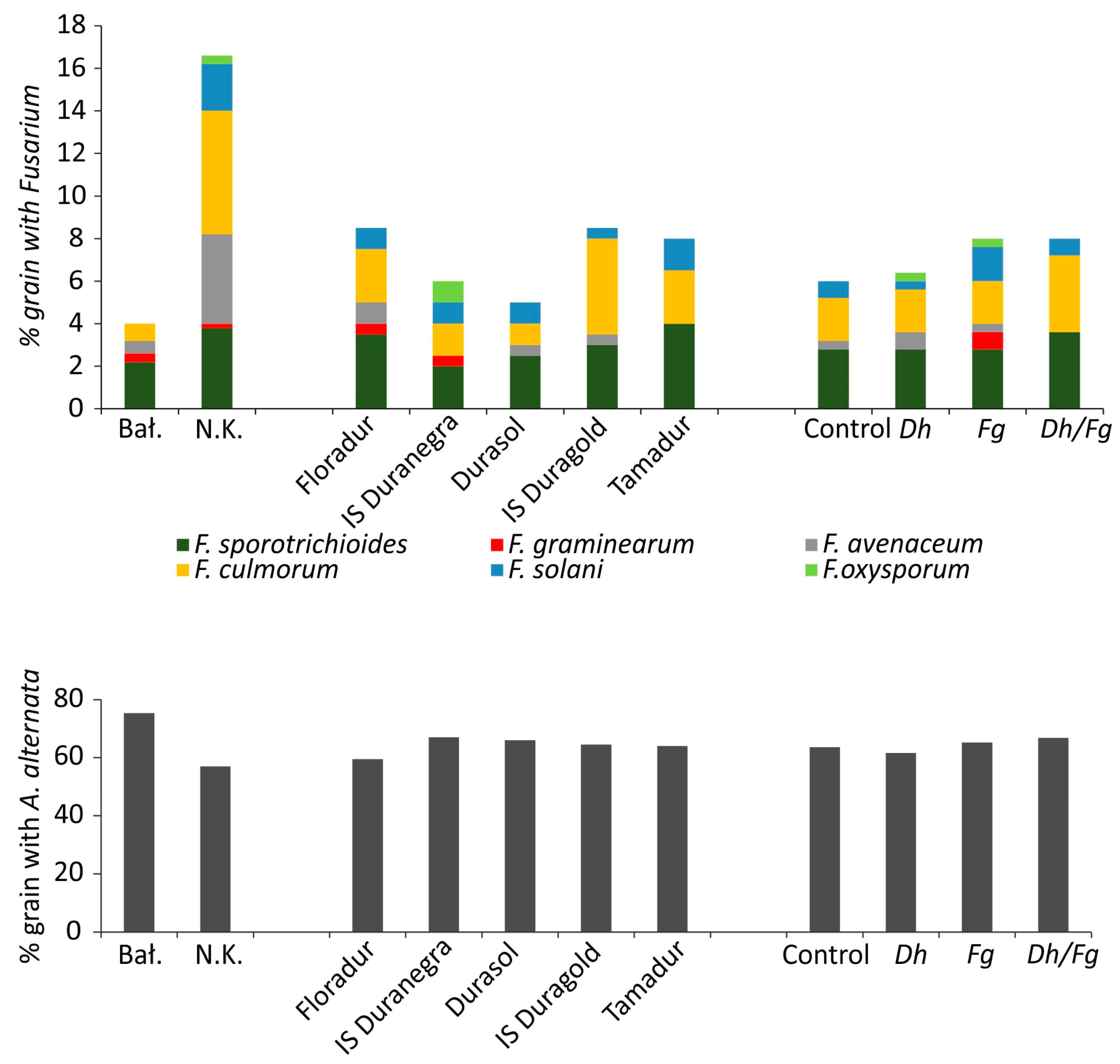 Agronomy 13 00721 g004