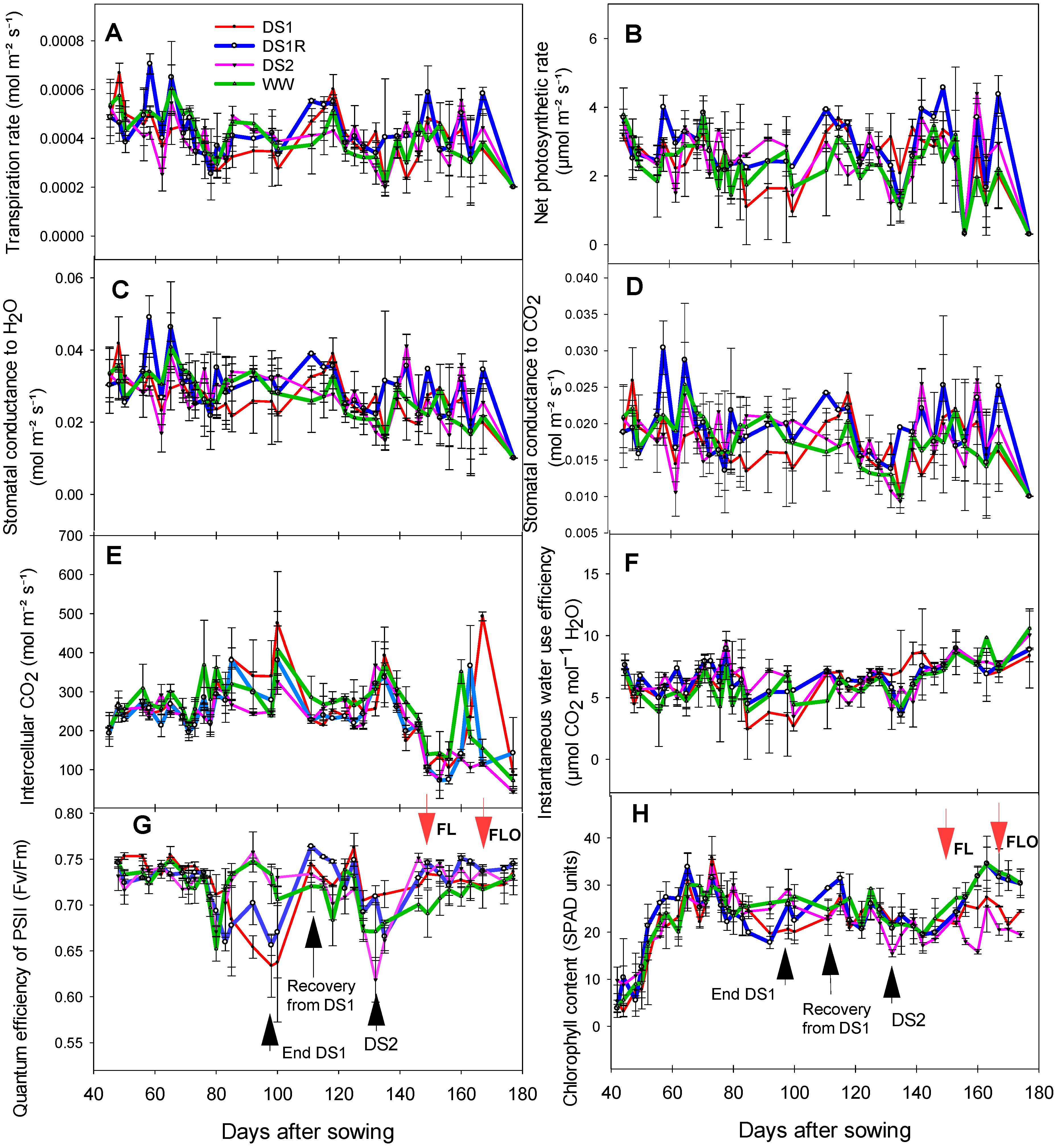 Agronomy 13 00722 g006 Agronomy 13 00722 g006
