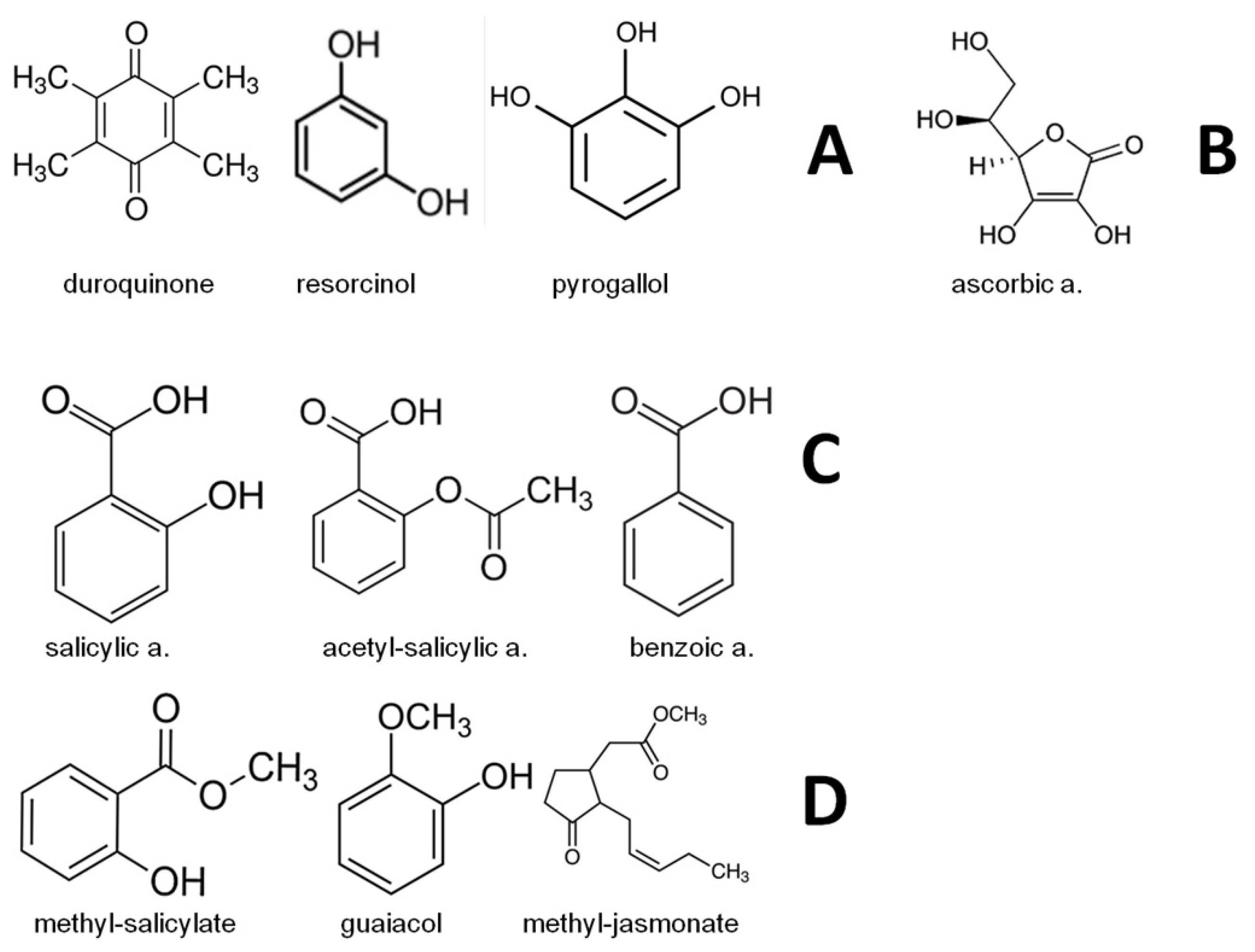 Agronomy 13 00746 g002