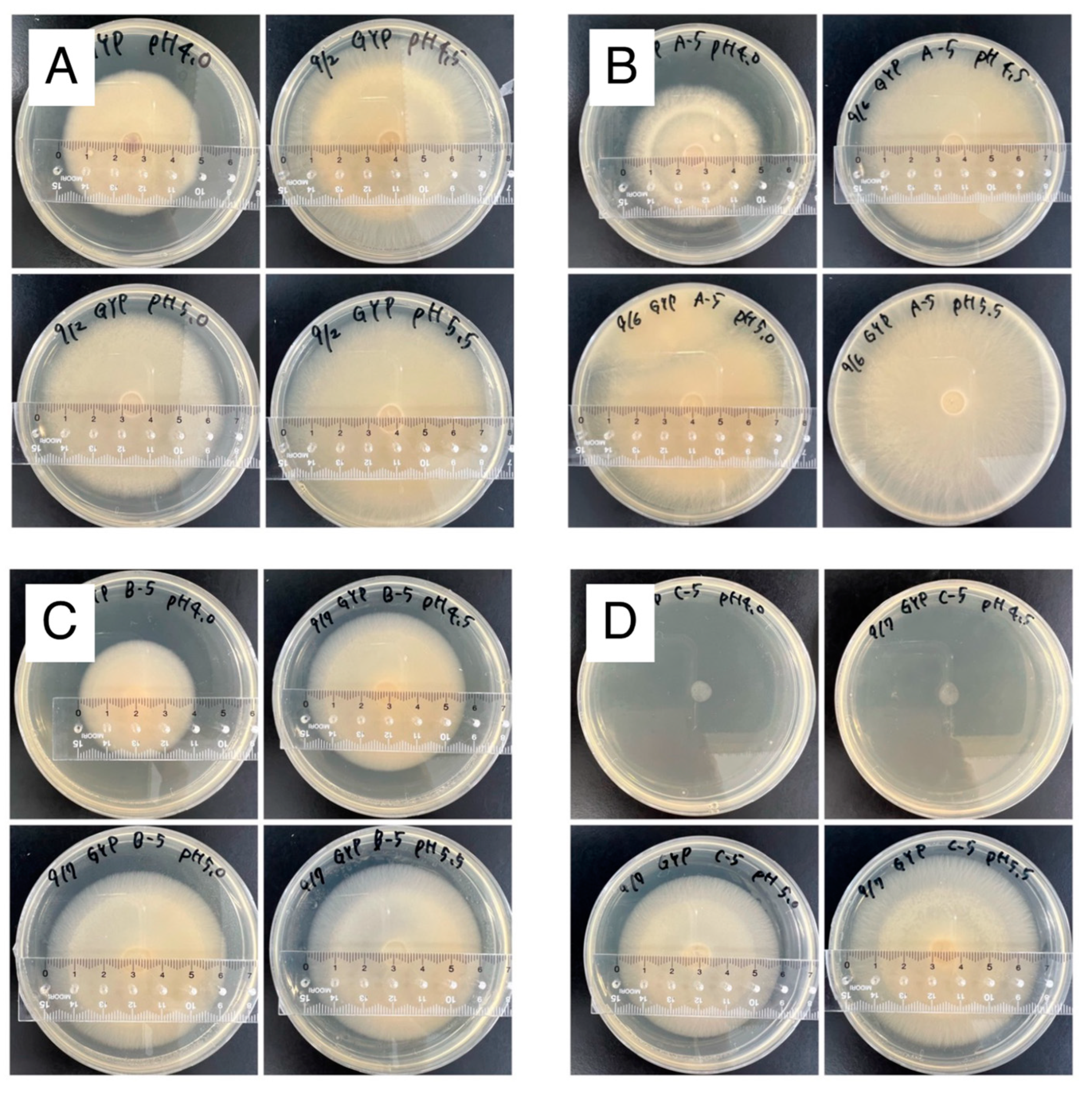 Agronomy 13 00747 g005