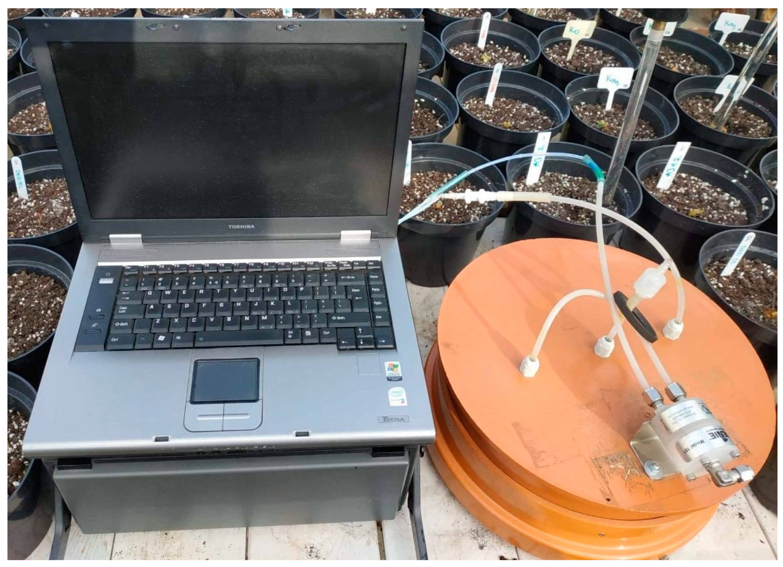 Agronomy 13 00754 g001