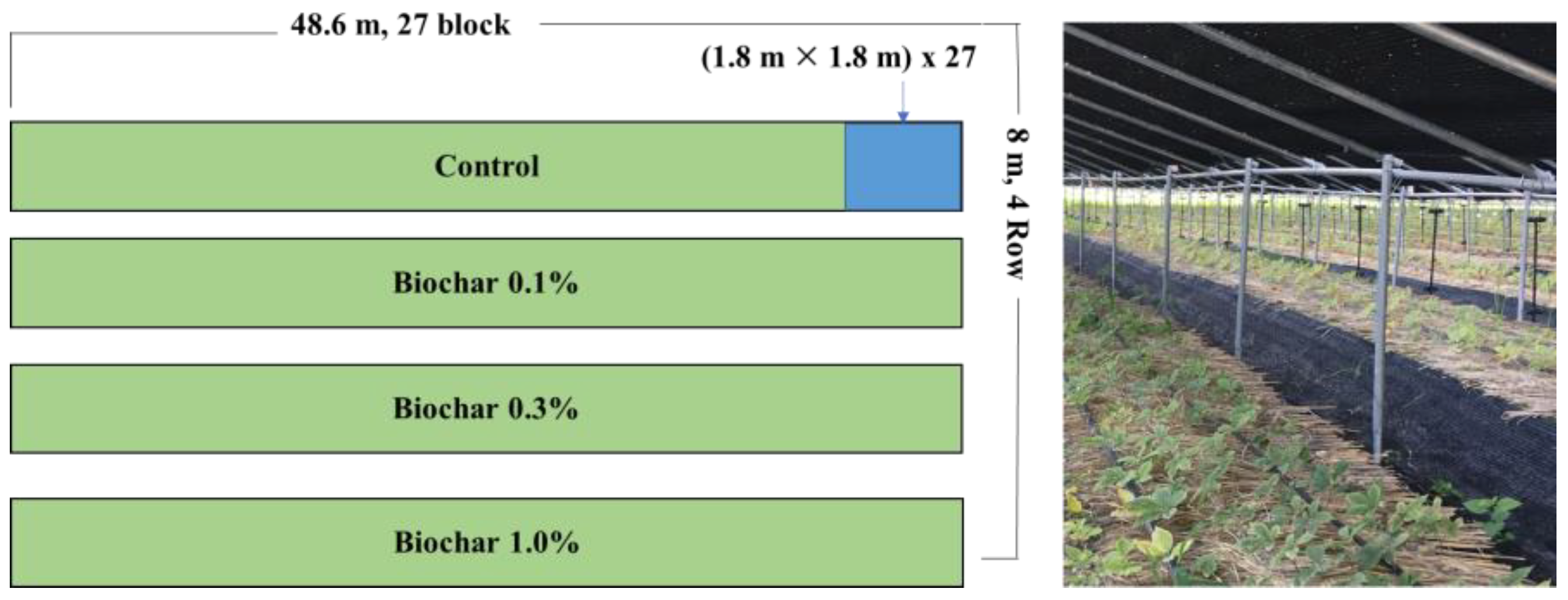 Agronomy 13 00756 g001