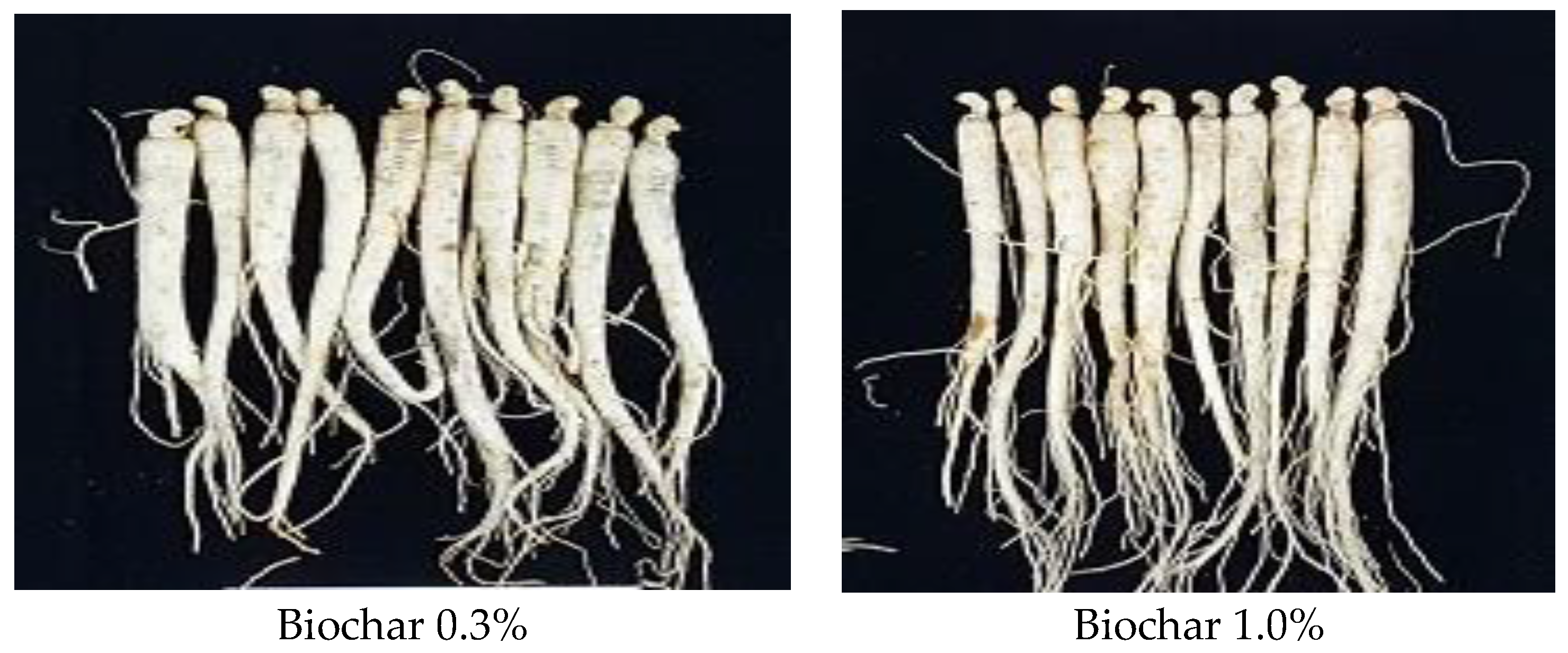 Agronomy 13 00756 g009b