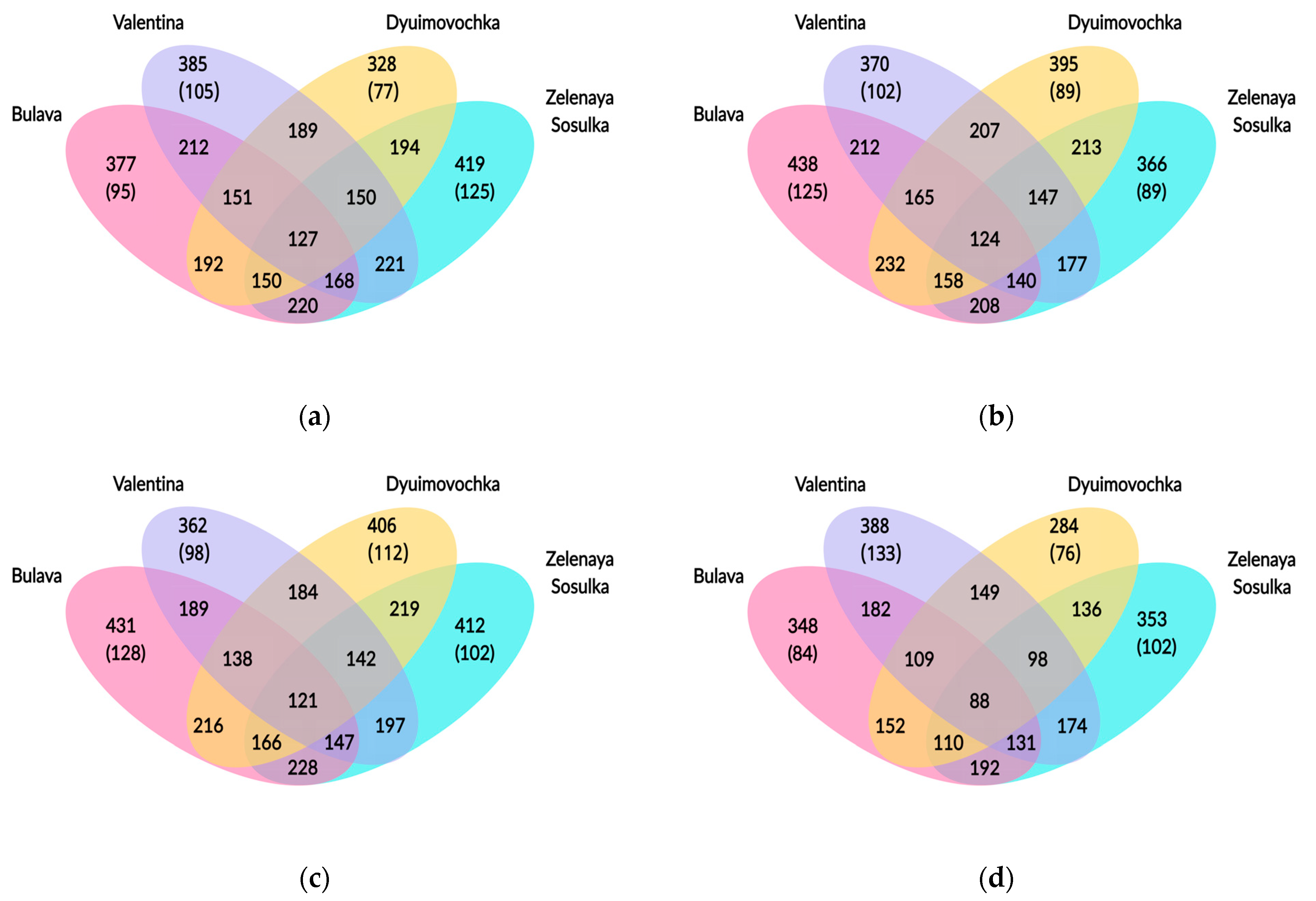 Agronomy 13 00759 g004