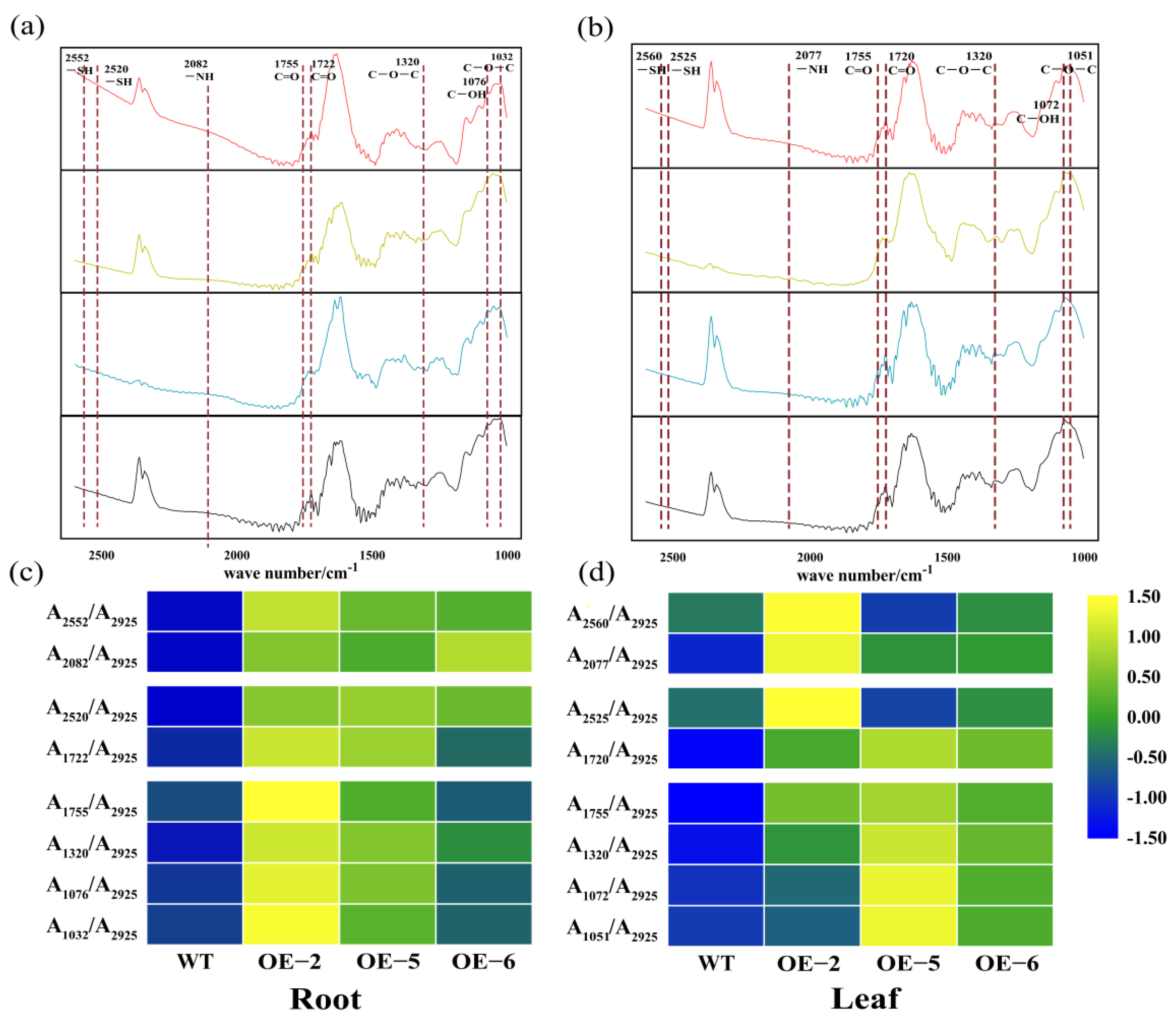 Agronomy 13 00760 g006 Agronomy 13 00760 g006