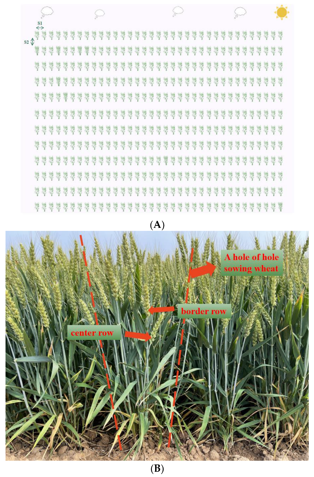 Agronomy 13 00766 g002a