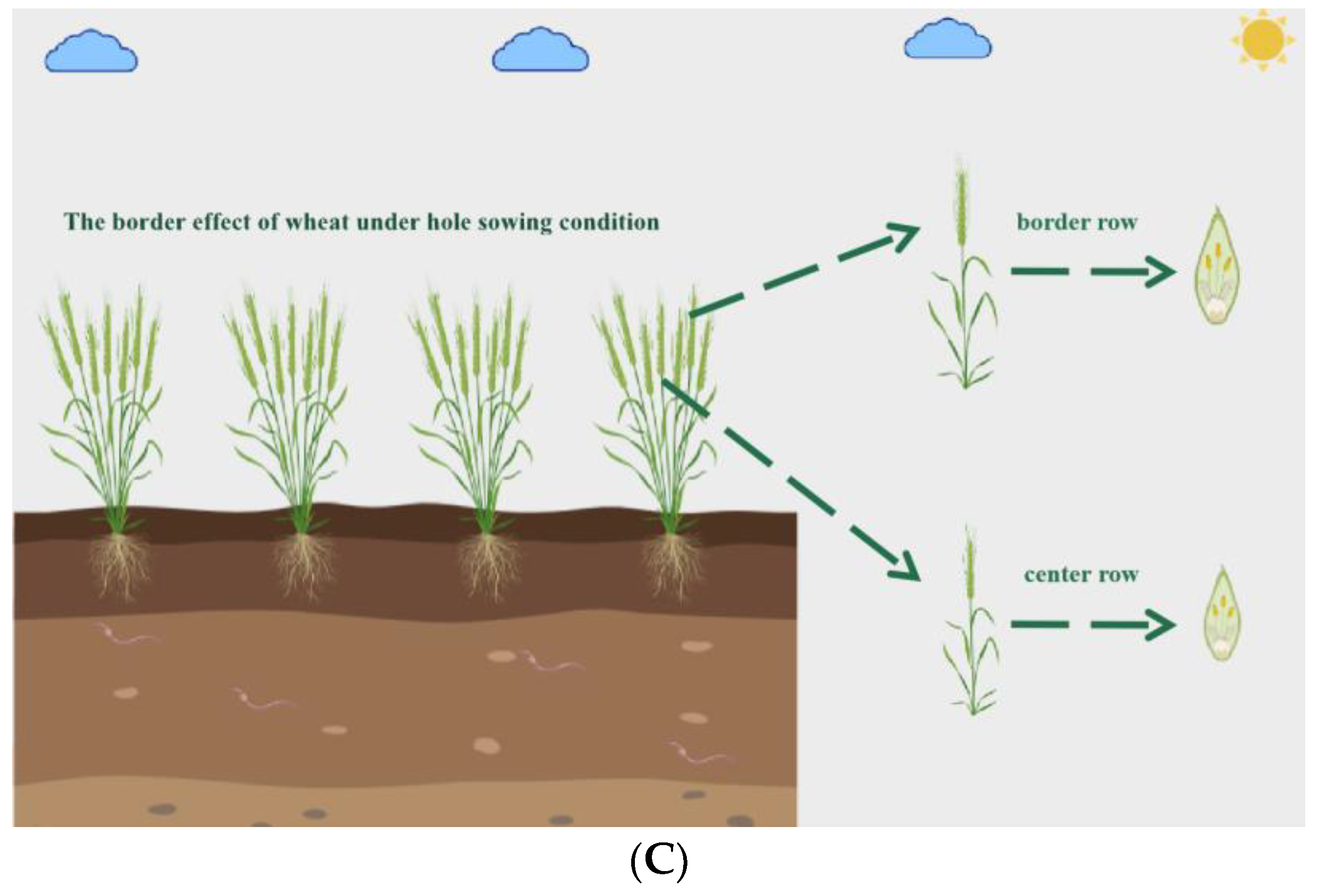Agronomy 13 00766 g002b