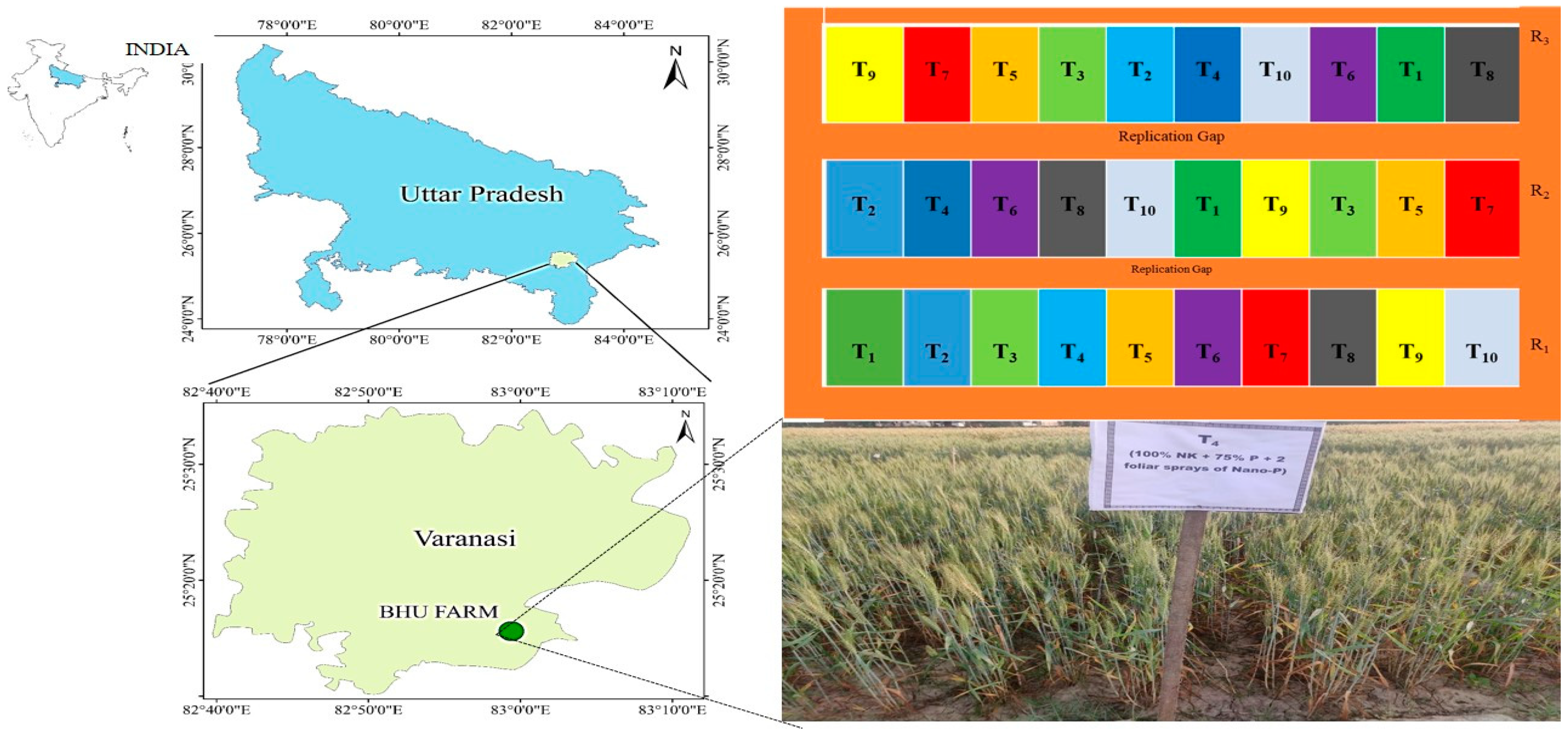 Agronomy 13 00768 g001 Agronomy 13 00768 g001