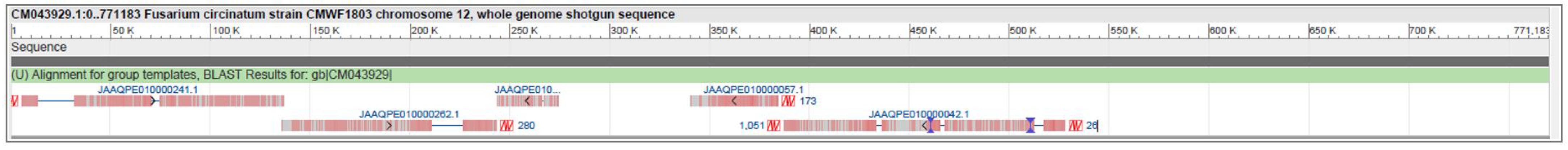 Agronomy 13 00773 g001