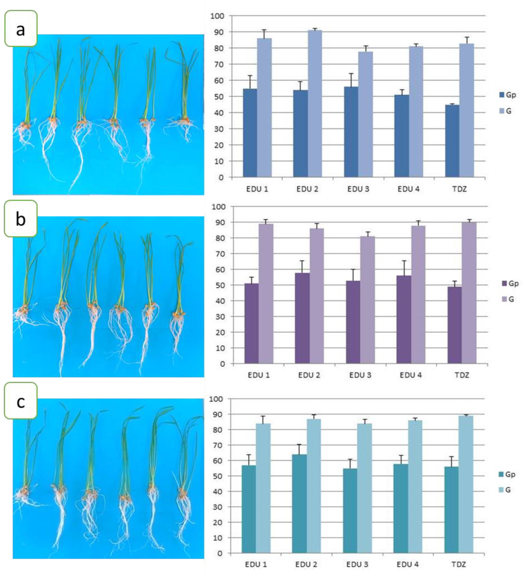 Agronomy 13 00778 g002