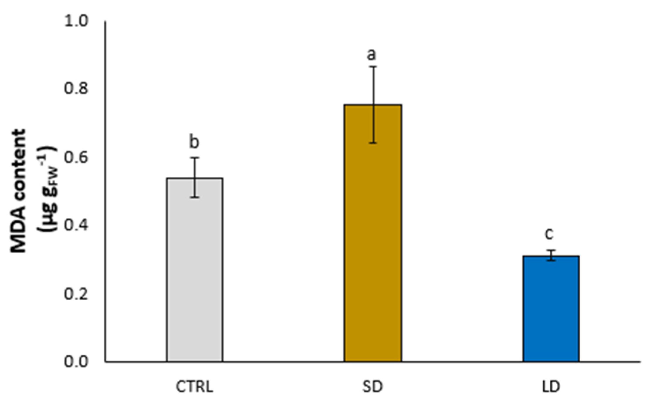 Agronomy 13 00782 g004