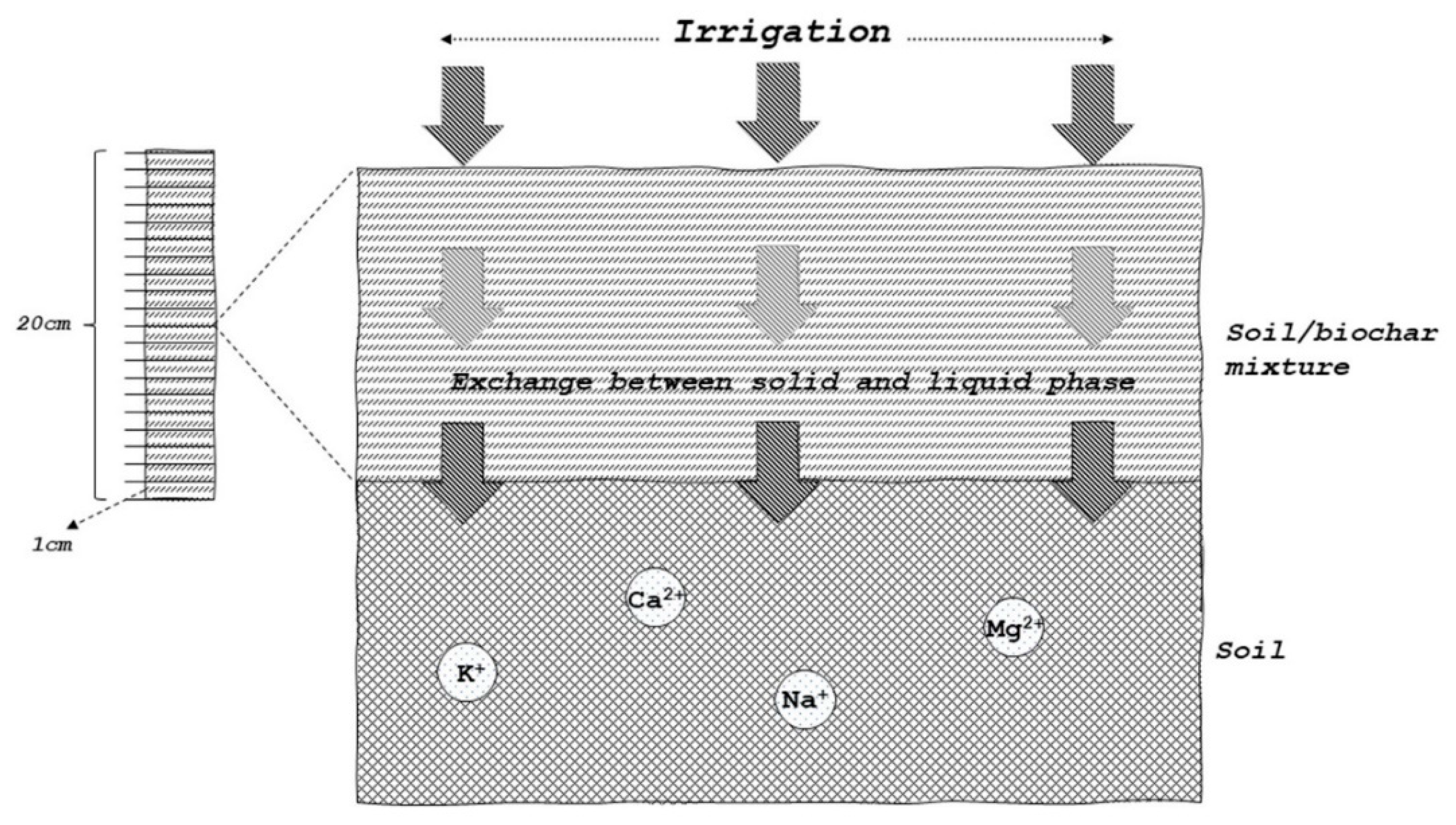 Agronomy 13 00784 g001