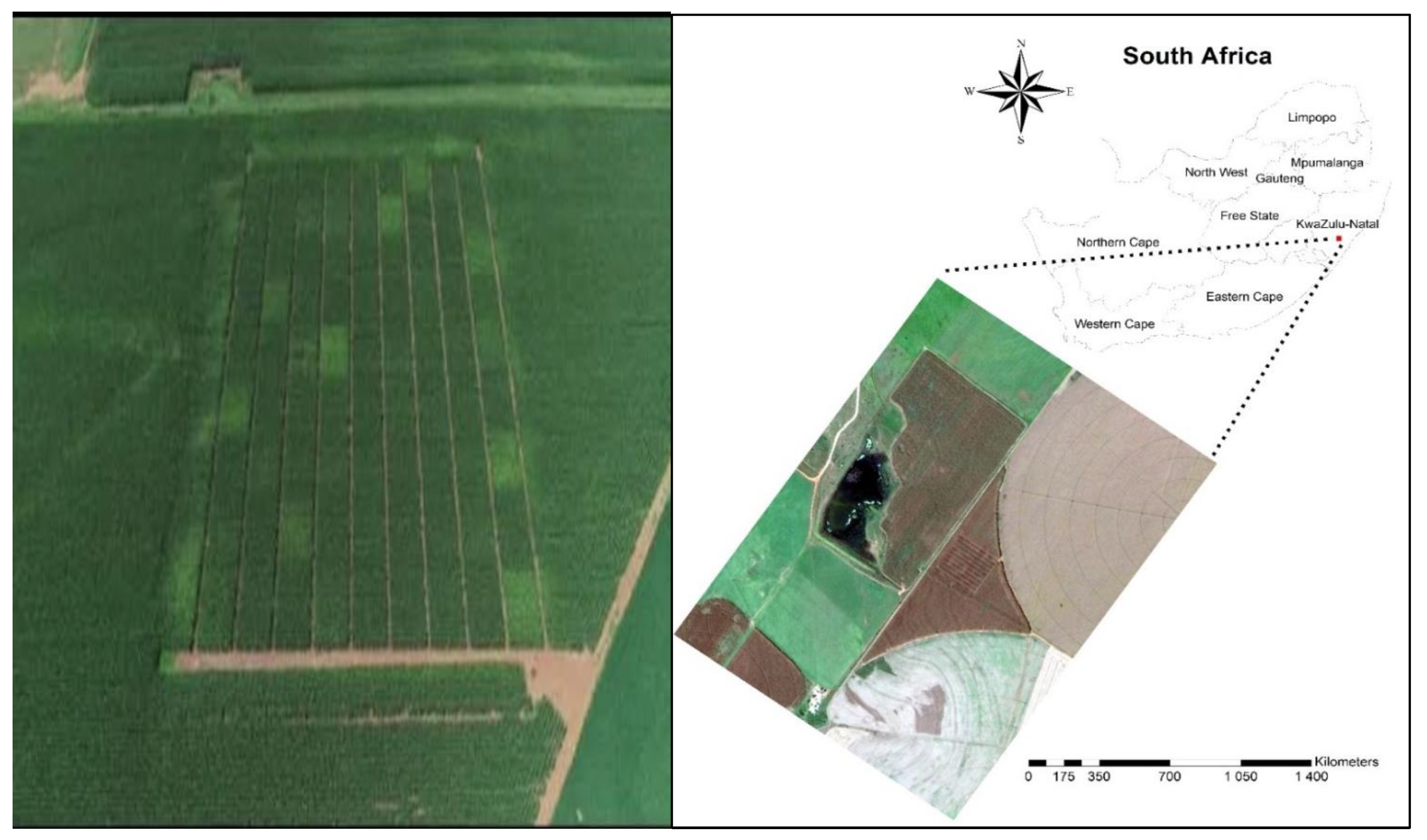 Agronomy 13 00785 g001