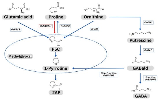 Agronomy 13 00788 g001