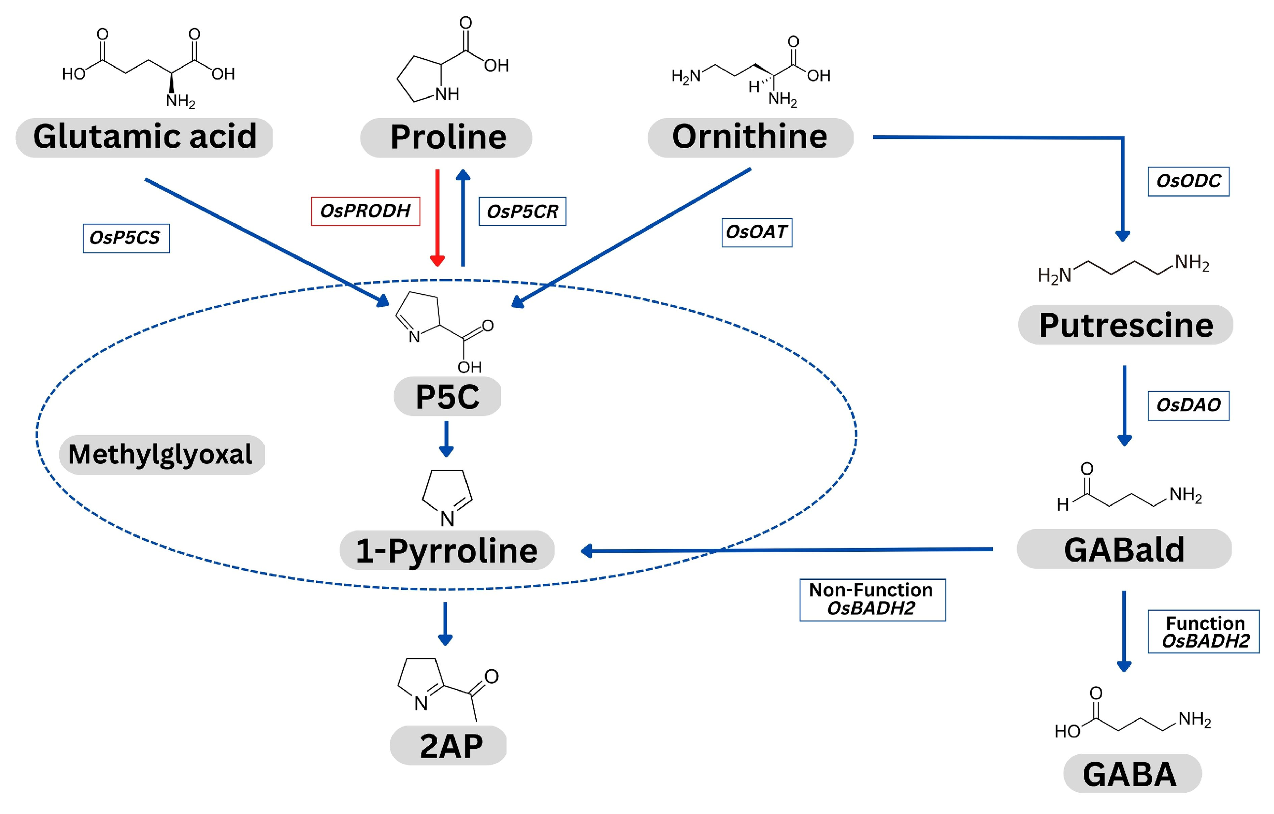 Agronomy 13 00788 g001 Agronomy 13 00788 g001