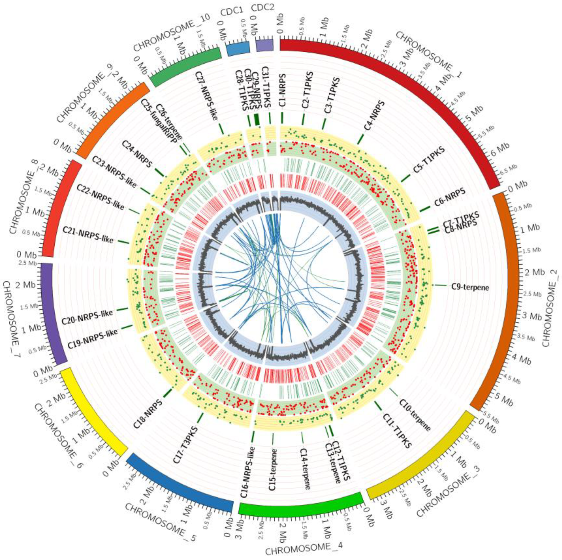 Agronomy 13 00809 g004