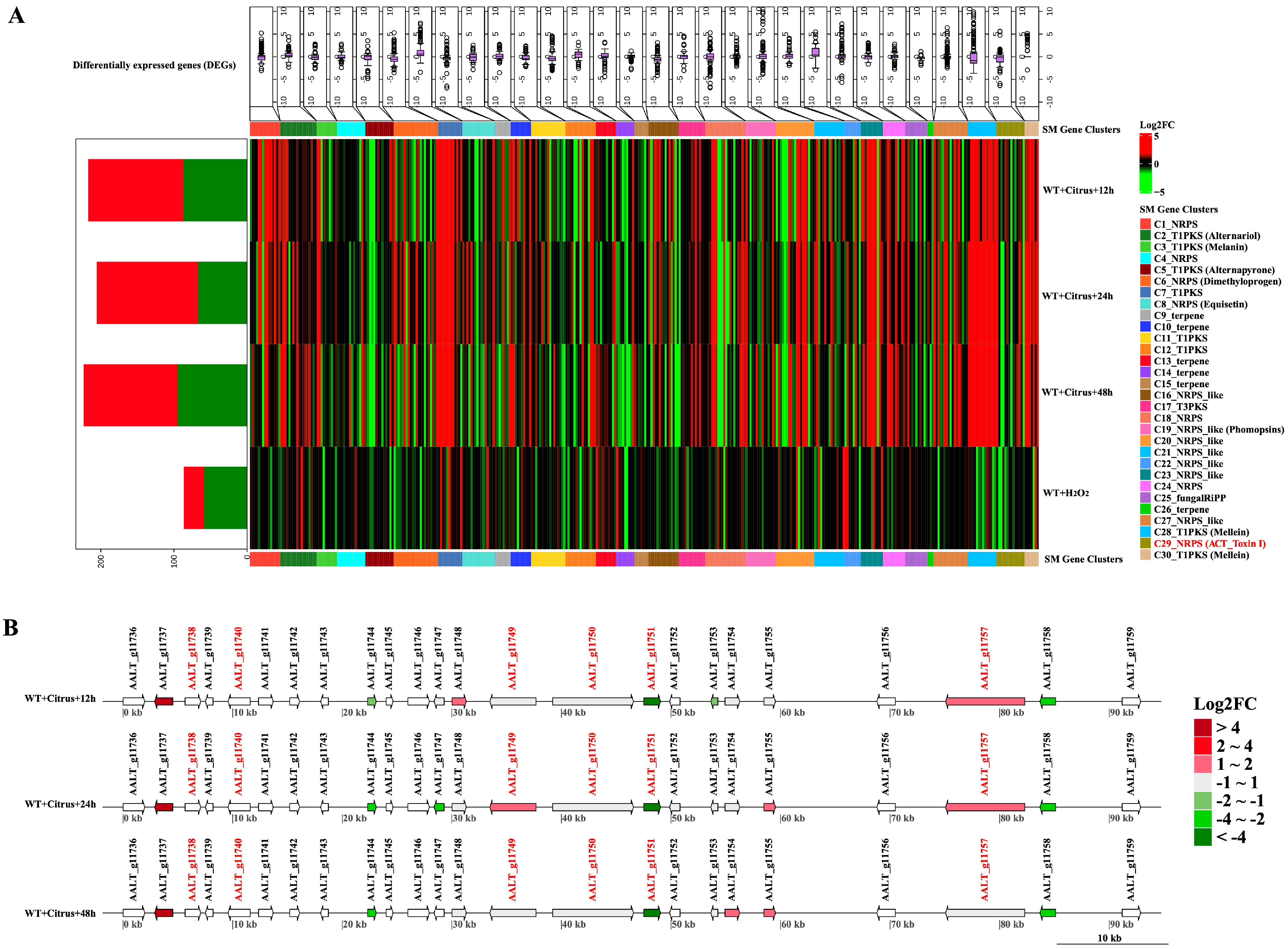 Agronomy 13 00809 g007