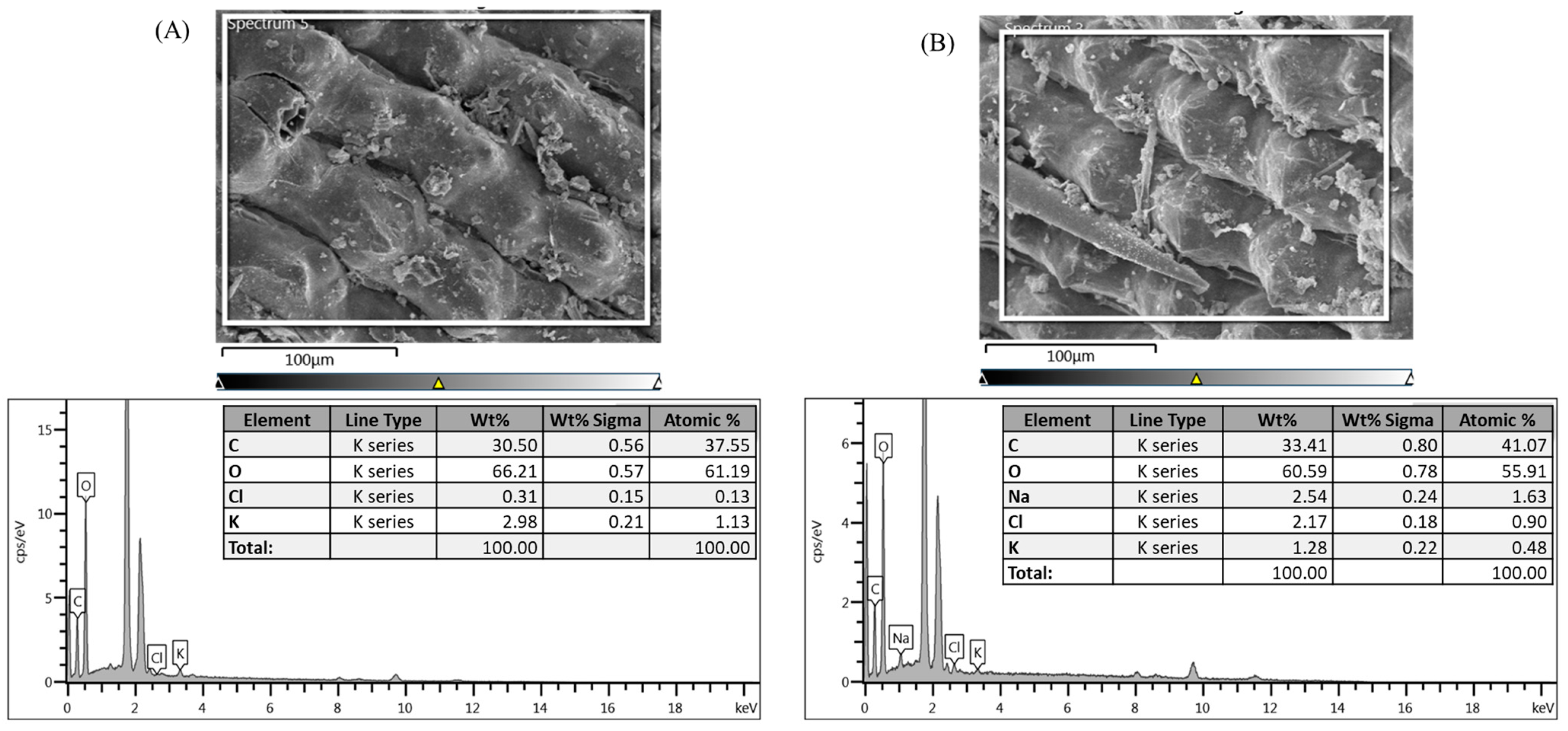 Agronomy 13 00815 g006