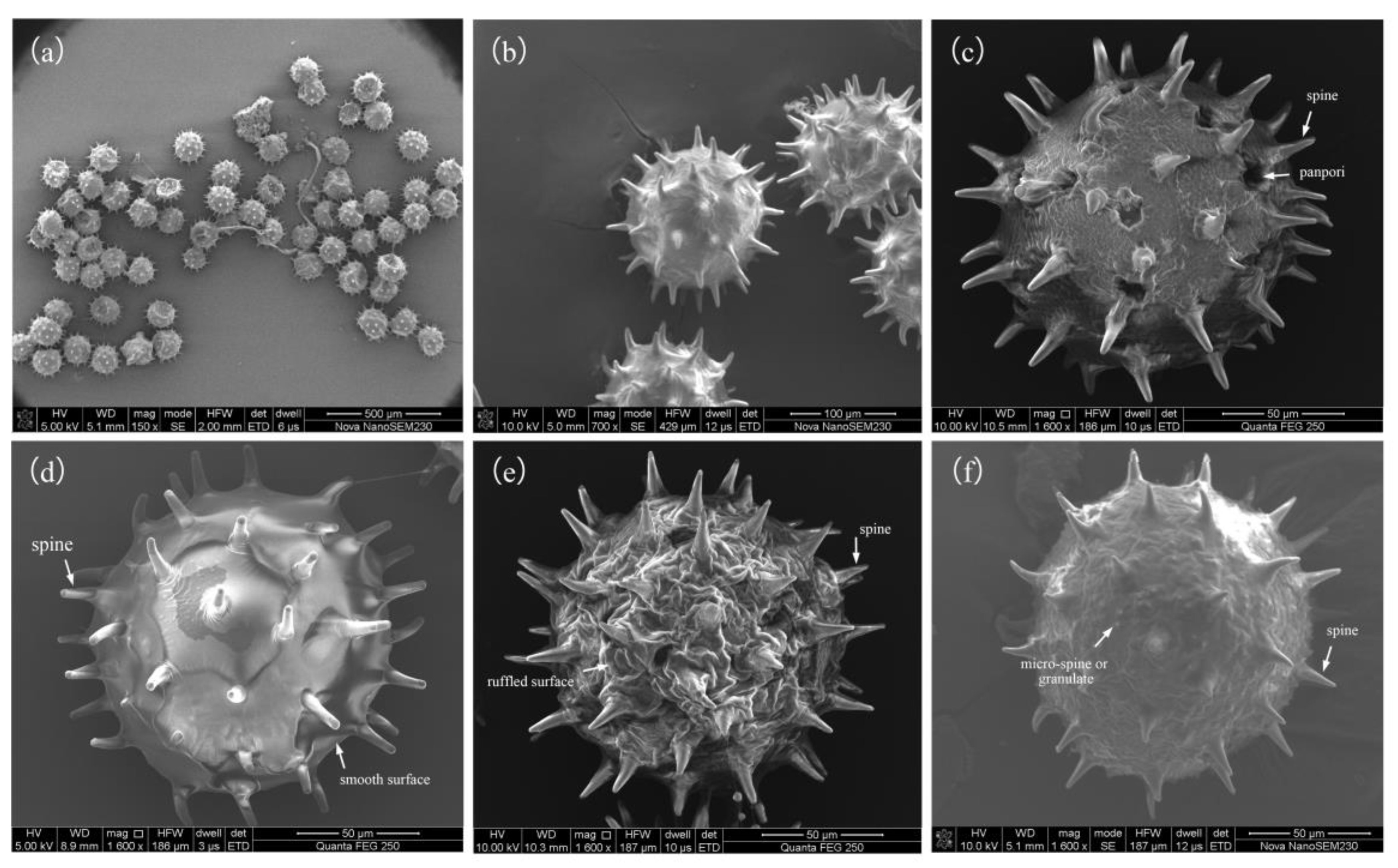 Agronomy 13 00828 g002