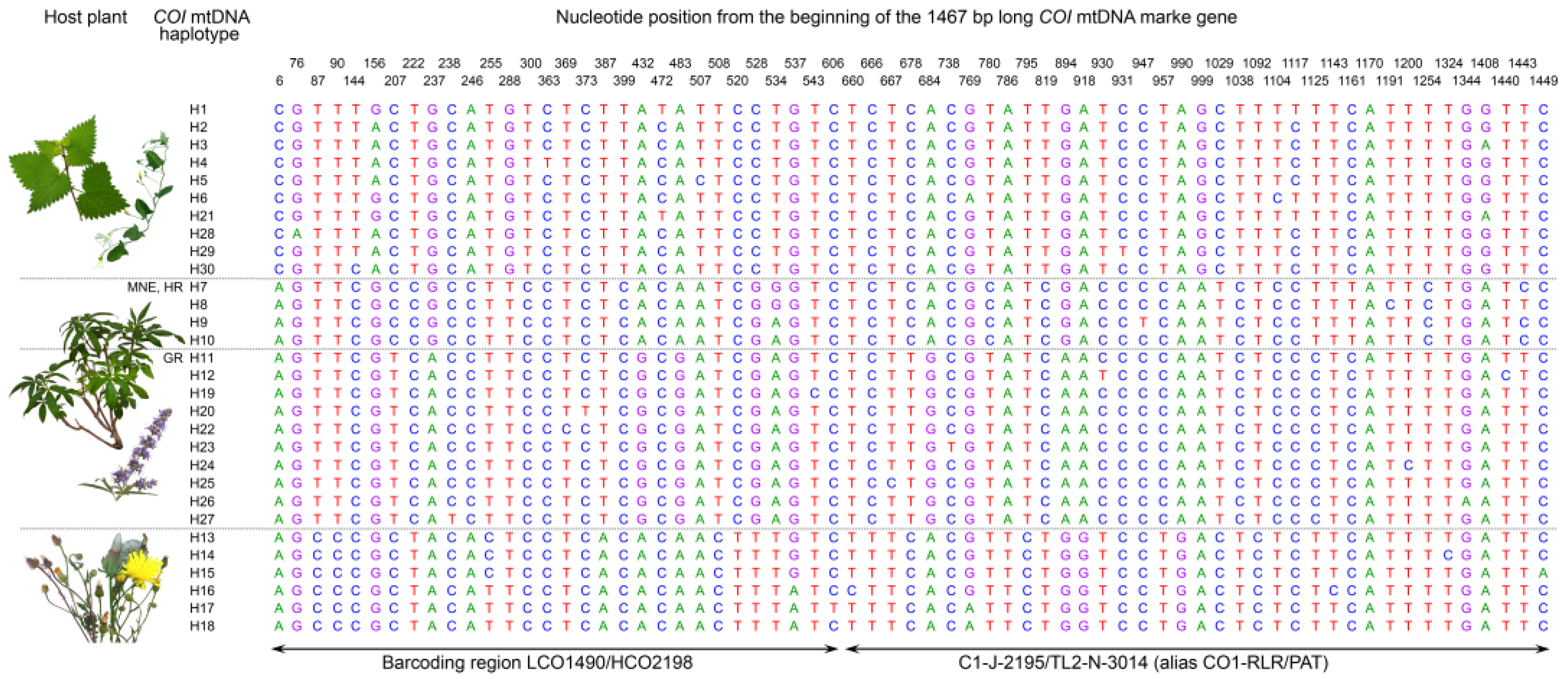 Agronomy 13 00831 g001