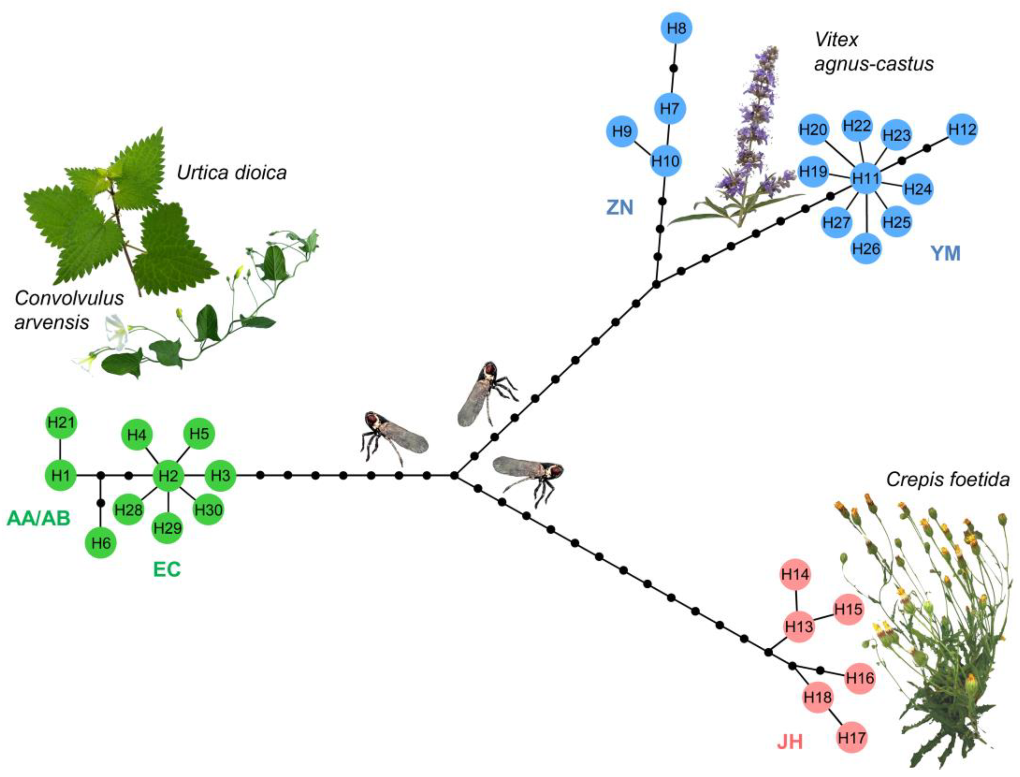 Agronomy 13 00831 g002