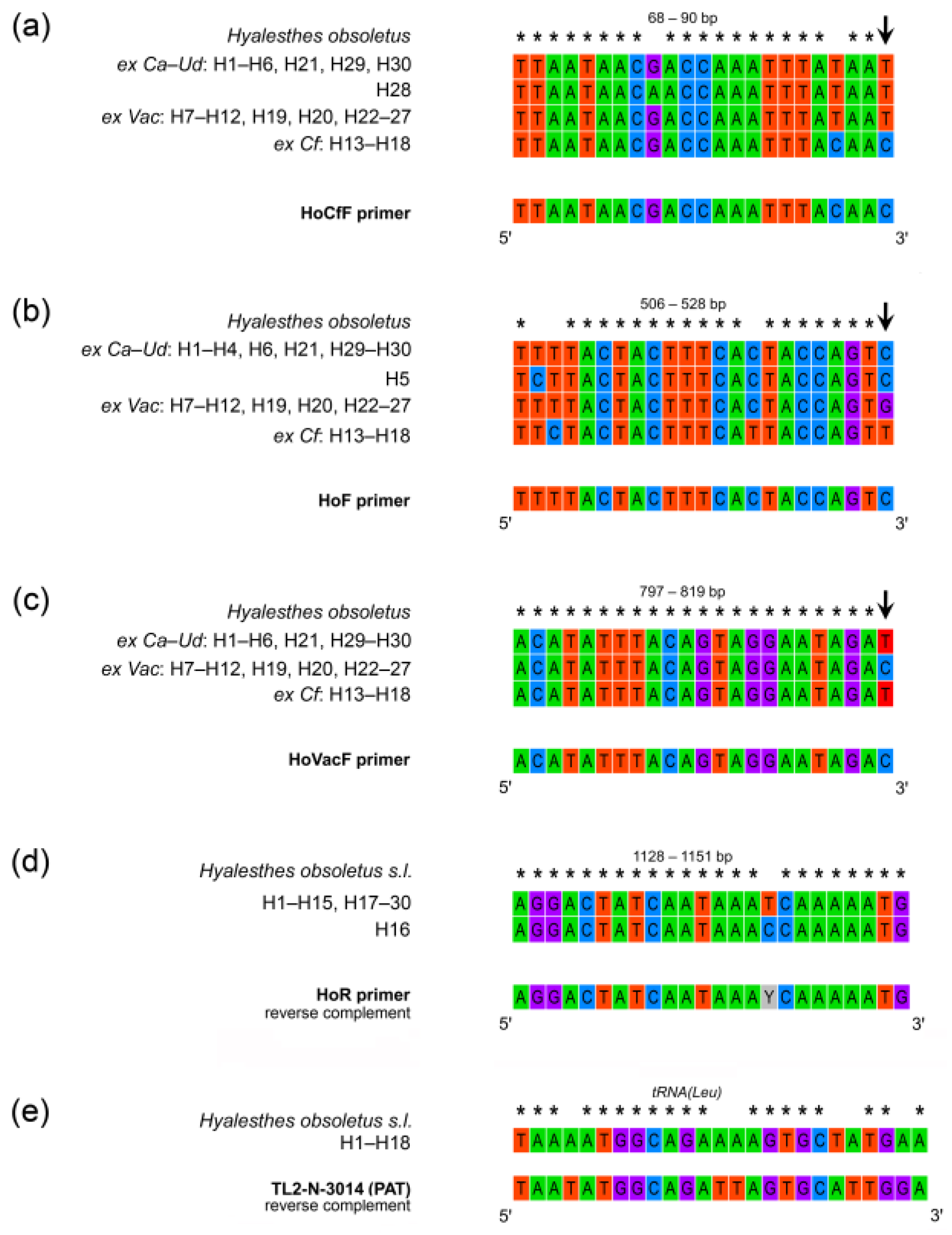 Agronomy 13 00831 g003