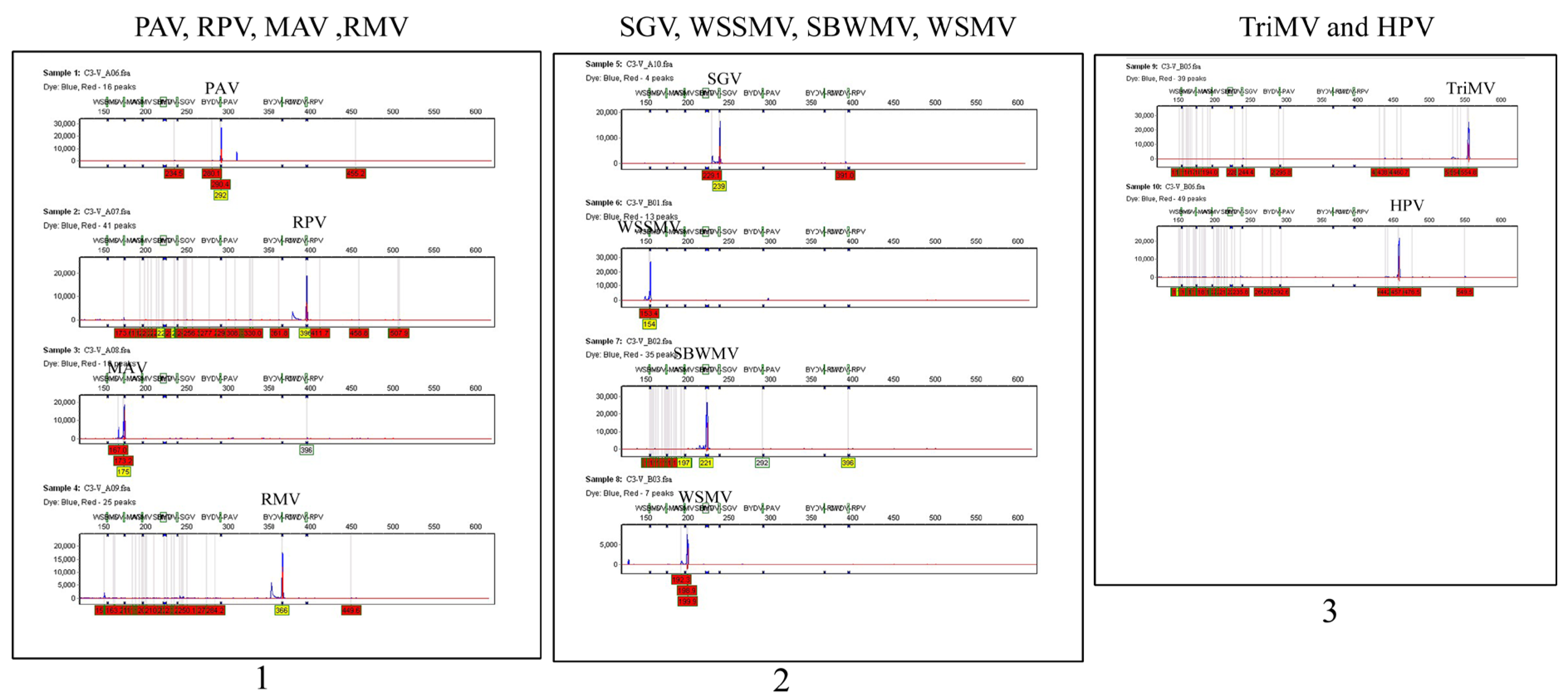 Agronomy 13 00833 g004