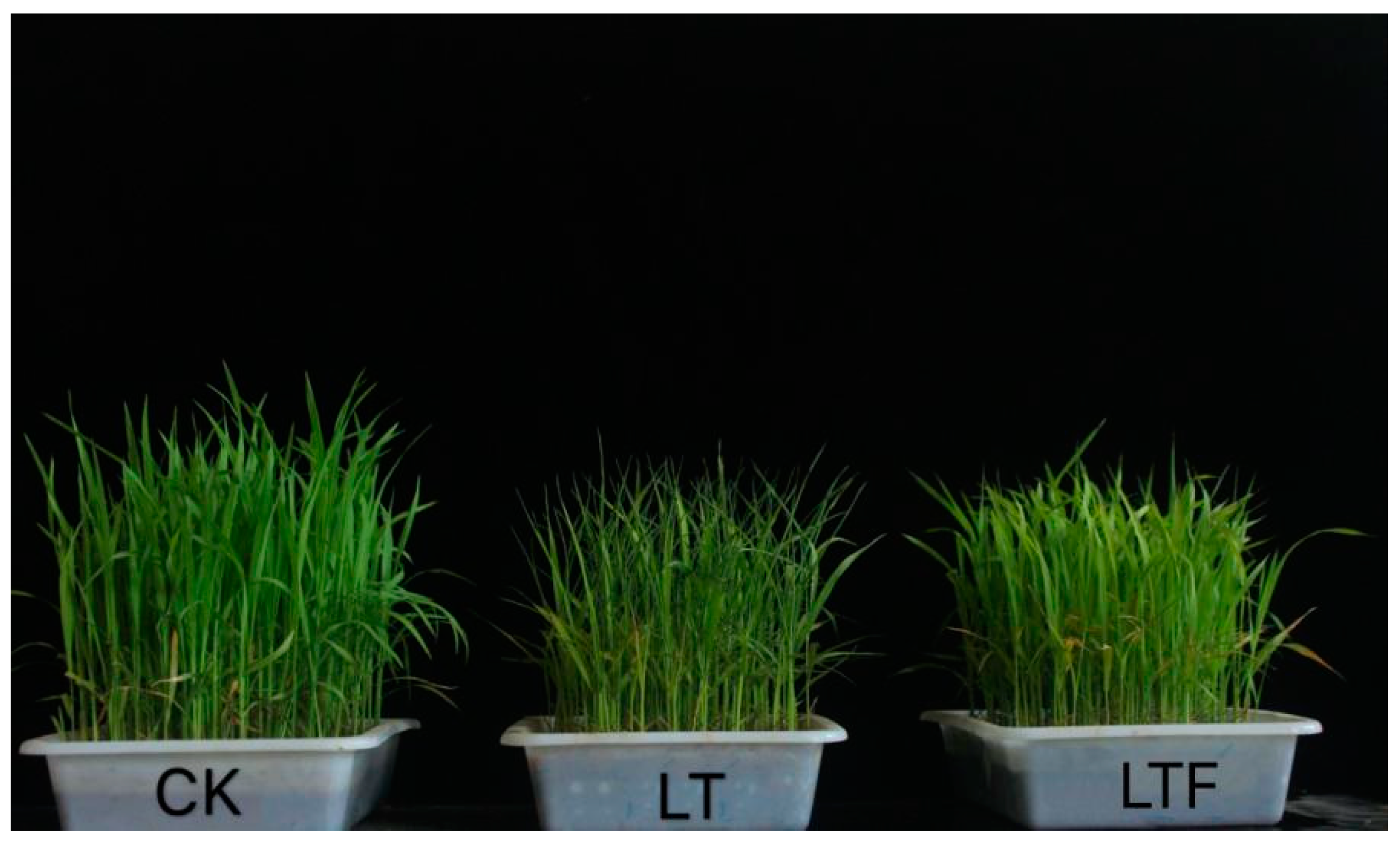 Agronomy 13 00834 g001 Agronomy 13 00834 g001