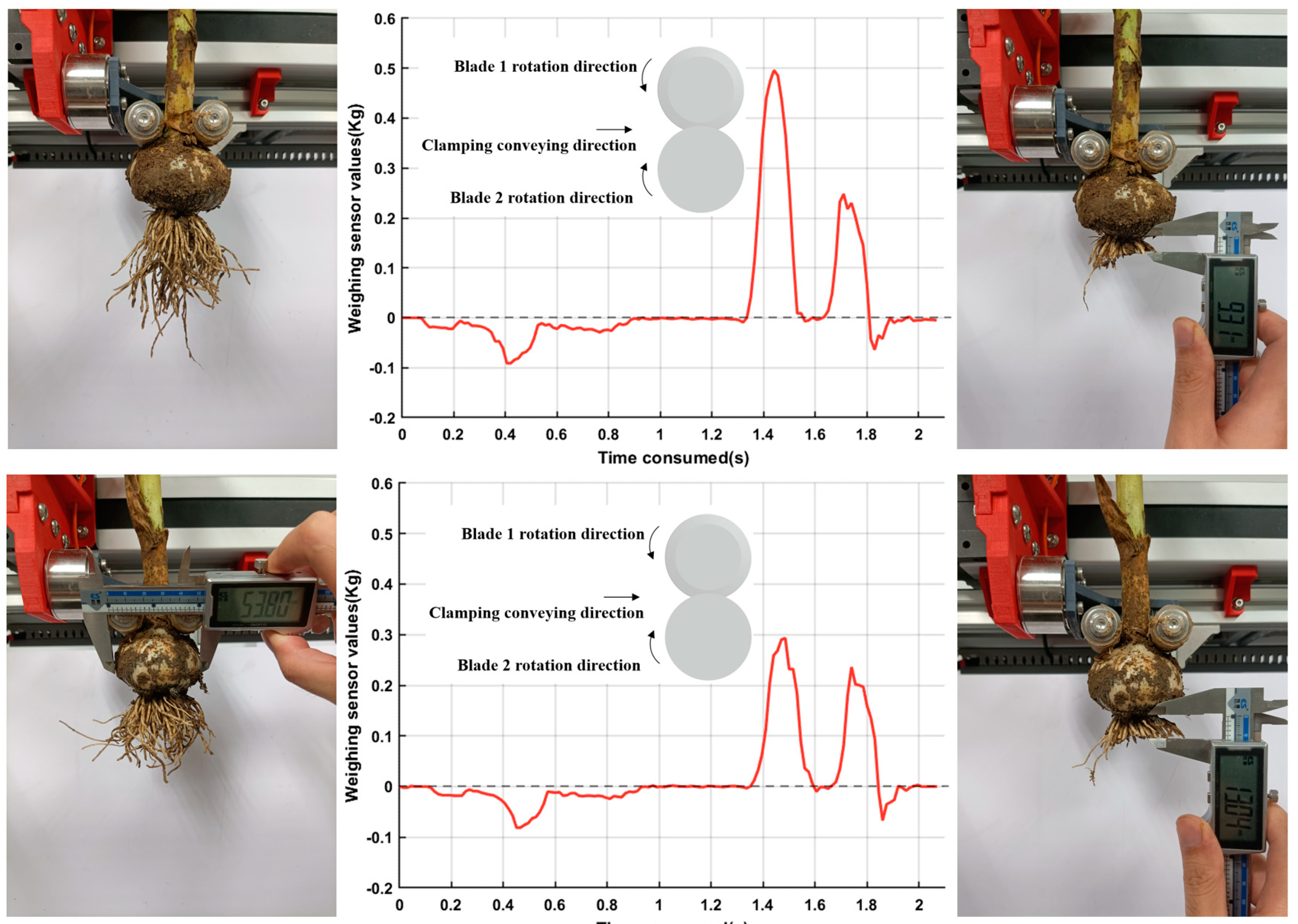 Agronomy 13 00835 g010 Agronomy 13 00835 g010