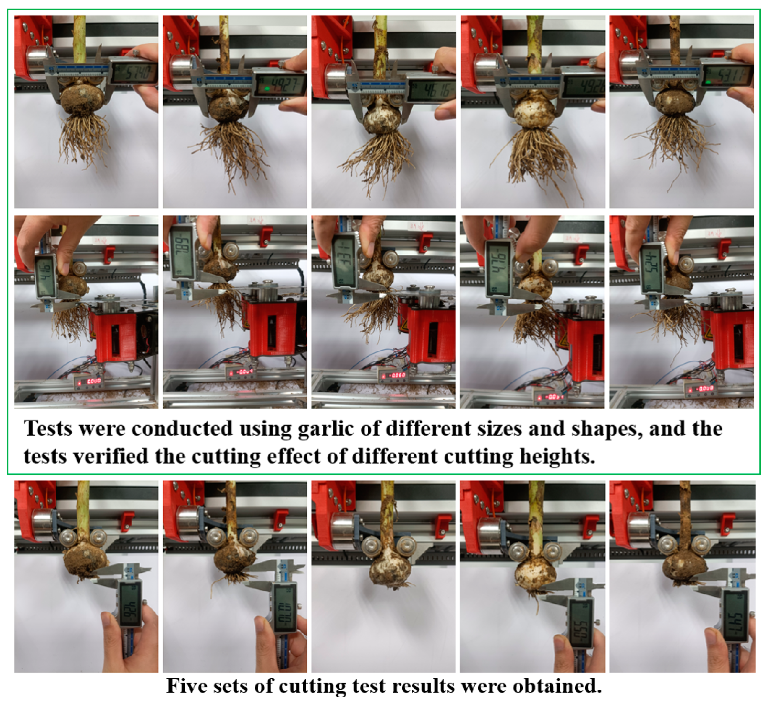 Agronomy 13 00835 g015 Agronomy 13 00835 g015