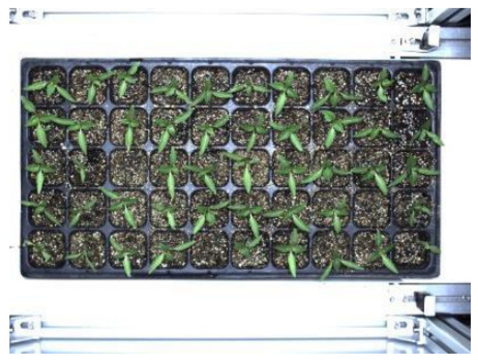 Agronomy 13 00853 g003