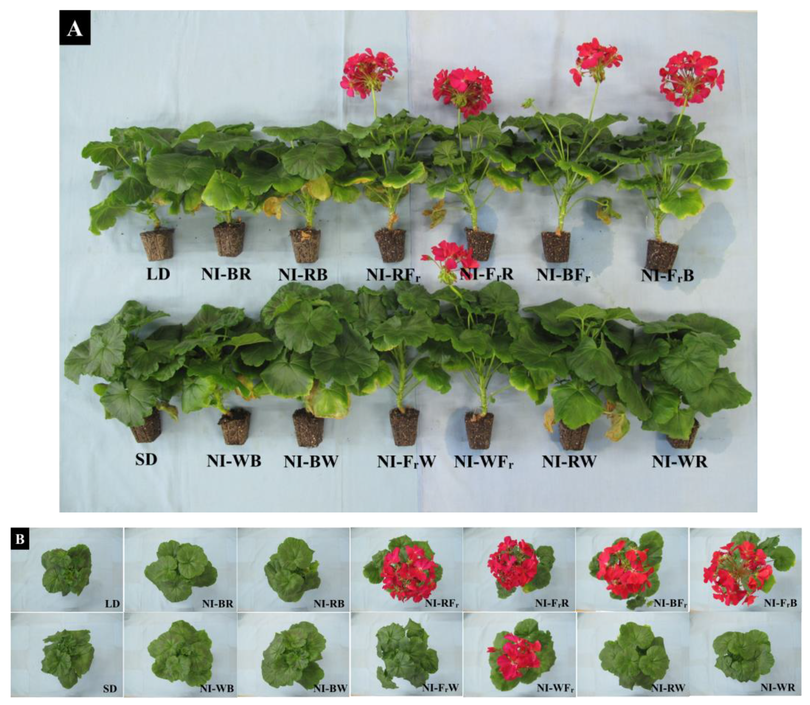 Agronomy 13 00857 g006