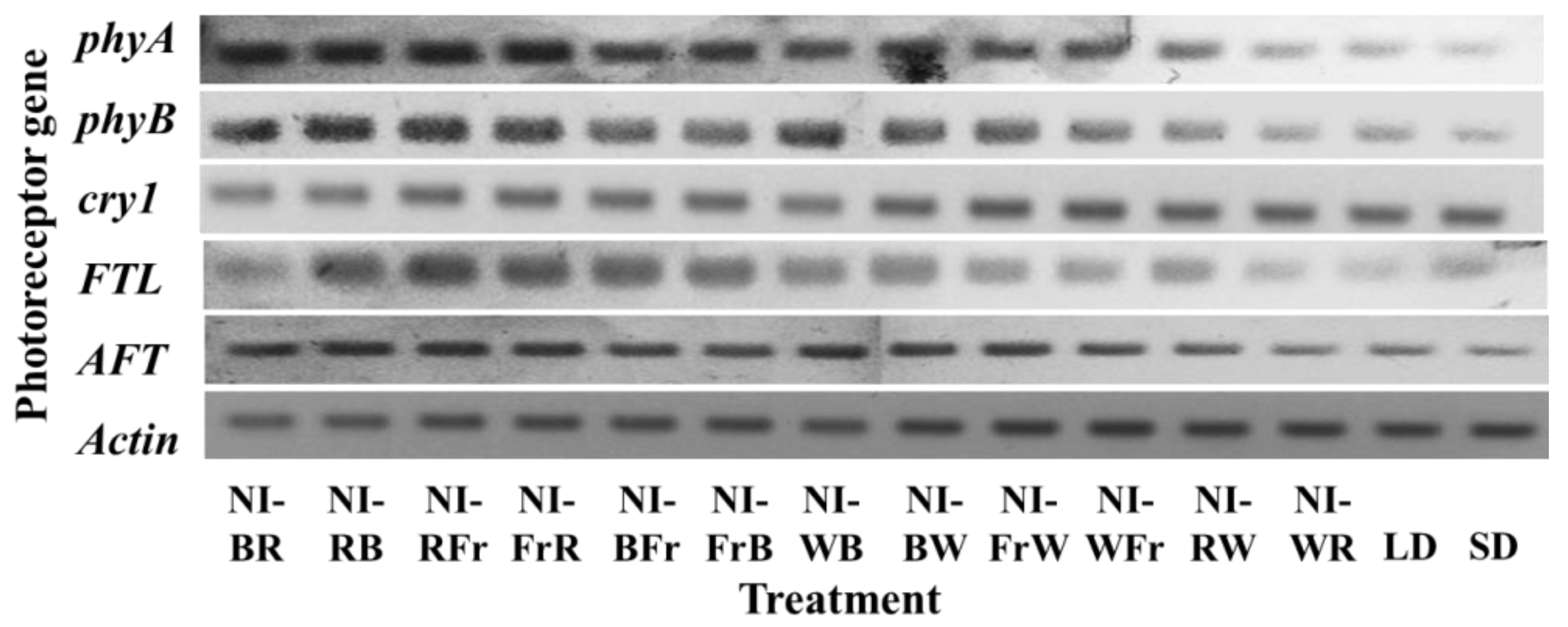 Agronomy 13 00857 g007